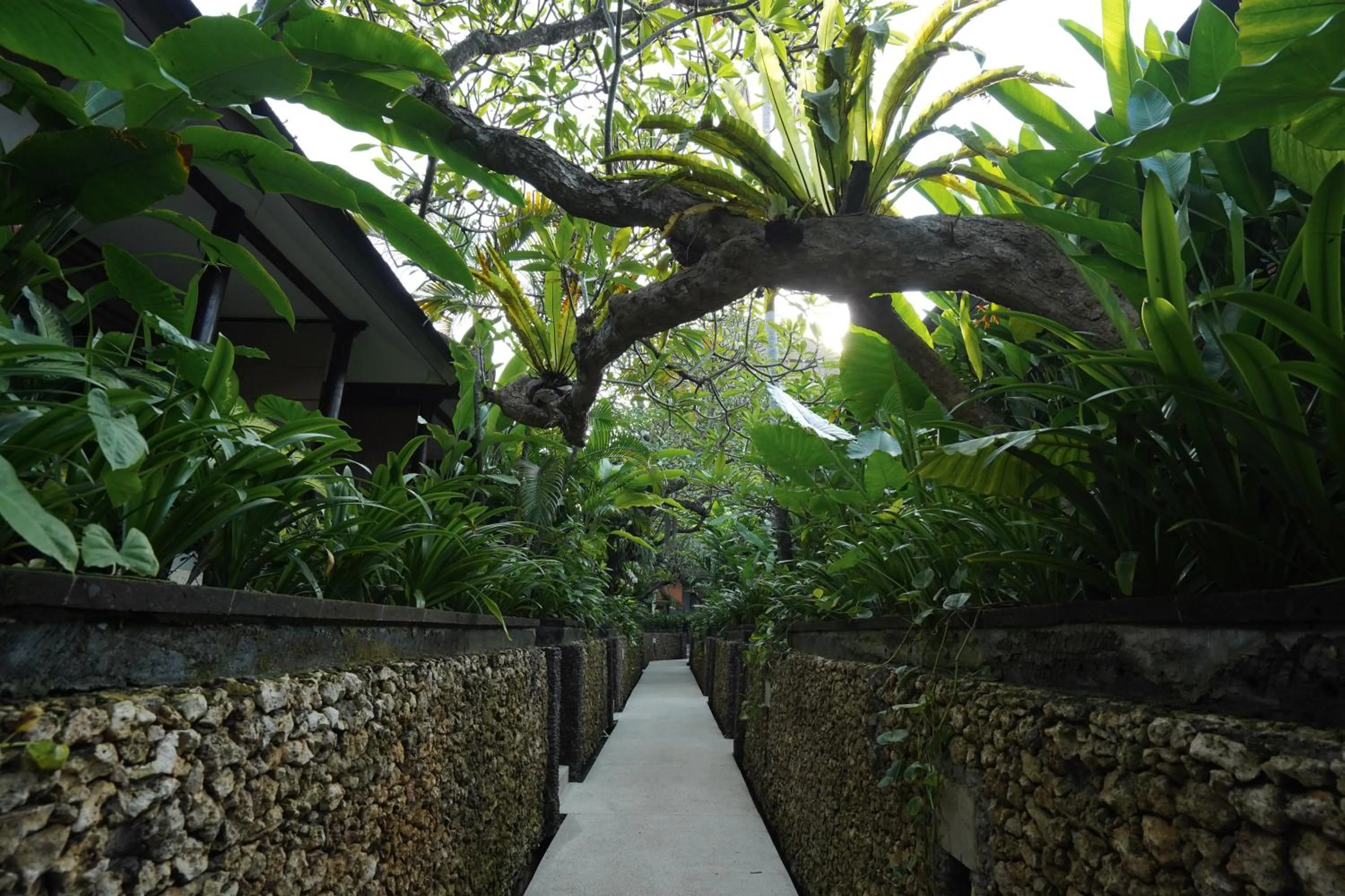 Natural landscape in Kuta Seaview Beach Resort