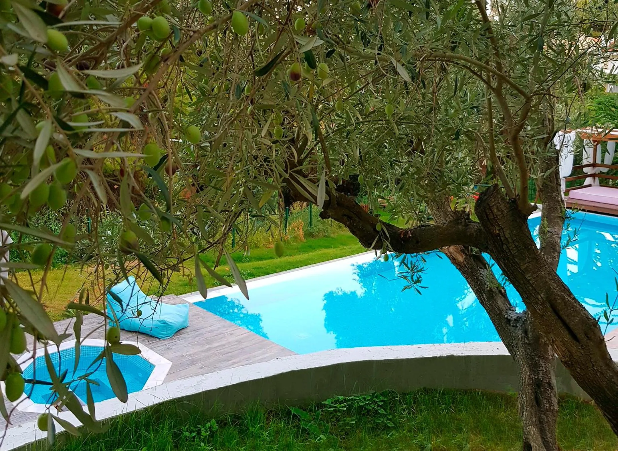 Swimming pool in Avatel Eco Lodge