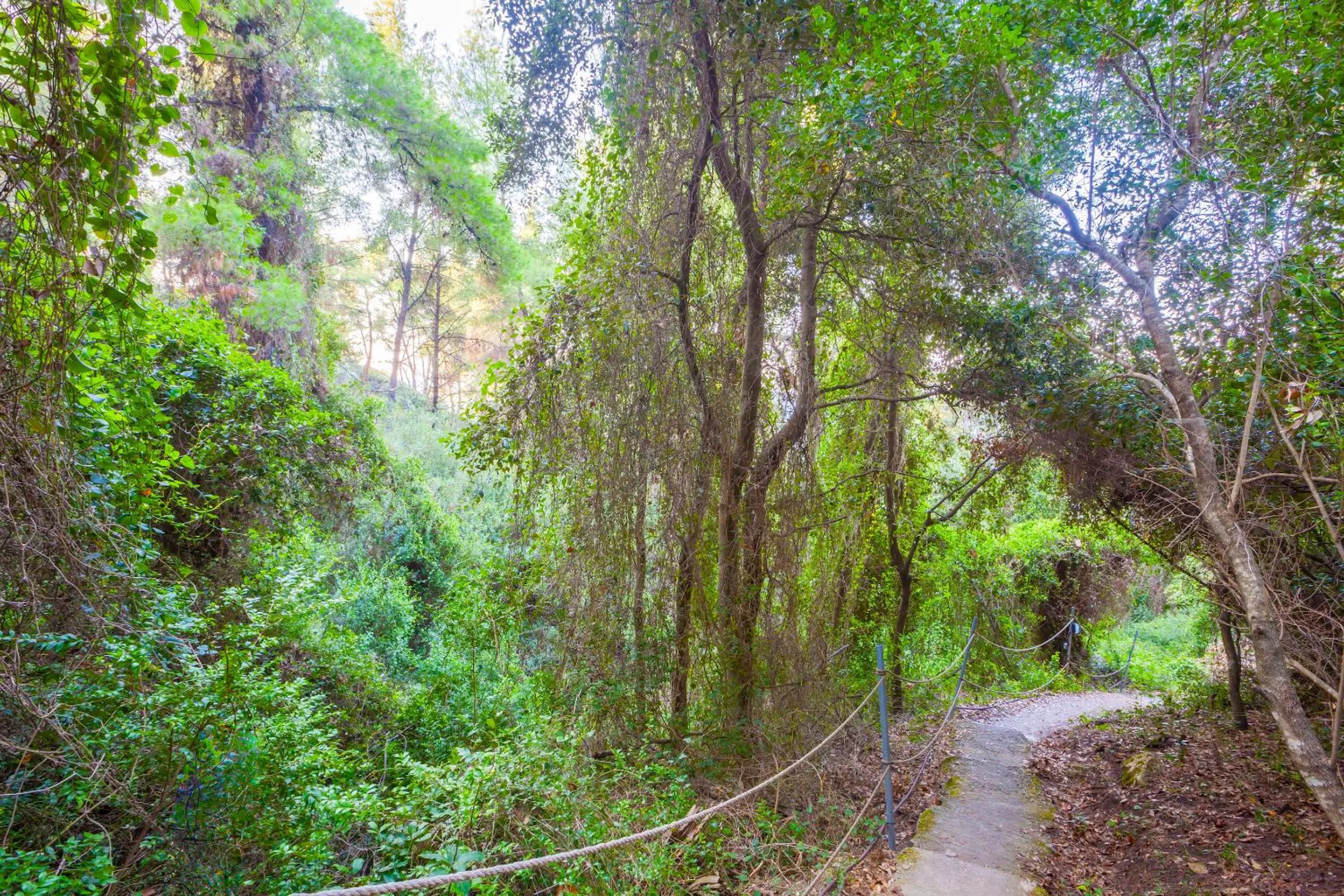 Natural landscape in Avatel Eco Lodge