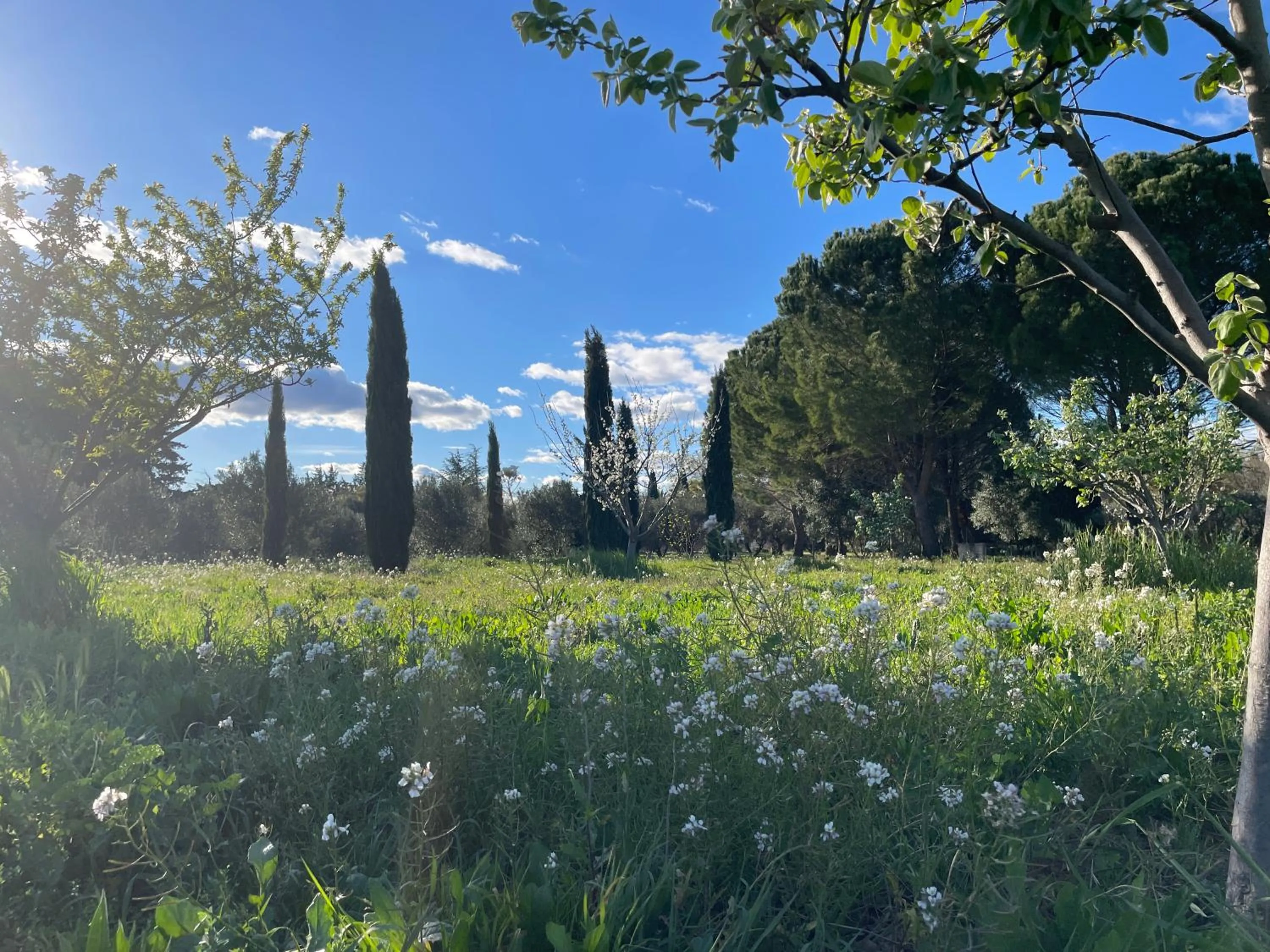 Spring in HOTEL et APPARTEMENTS DOMAINE DES CLOS - Teritoria