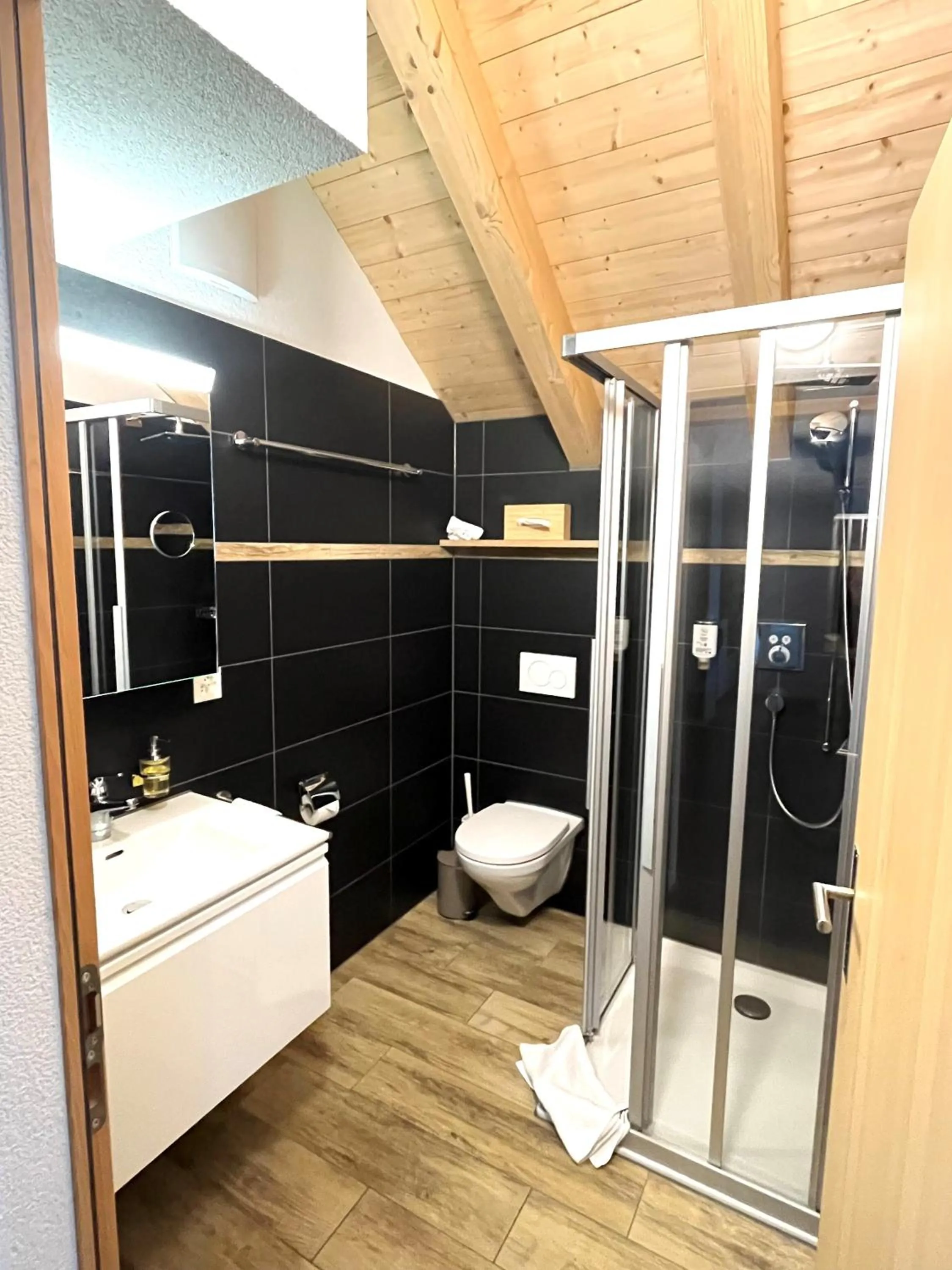 Shower in Hotel Bären