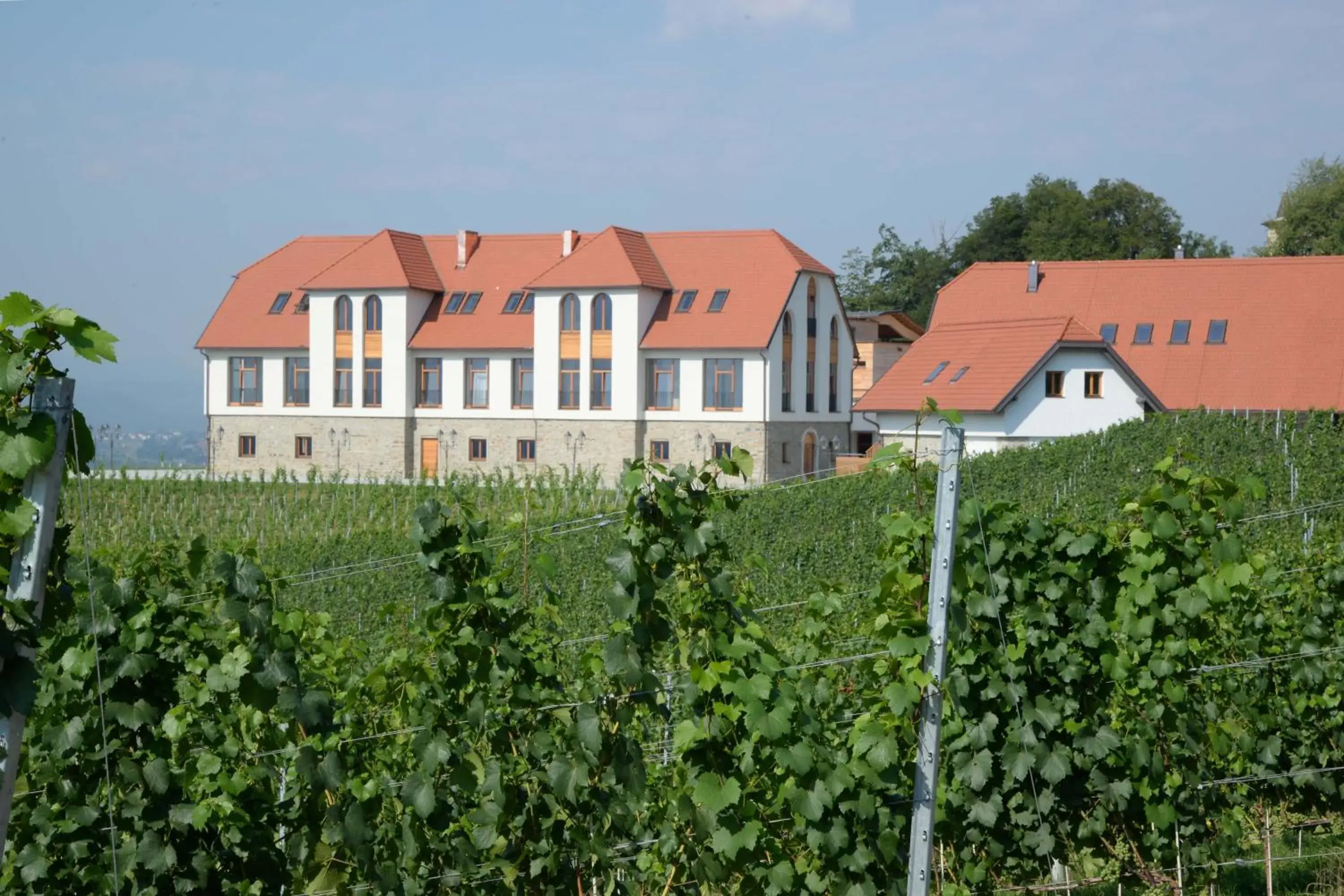 Weingut Taggenbrunn Weingut Taggenbrunn