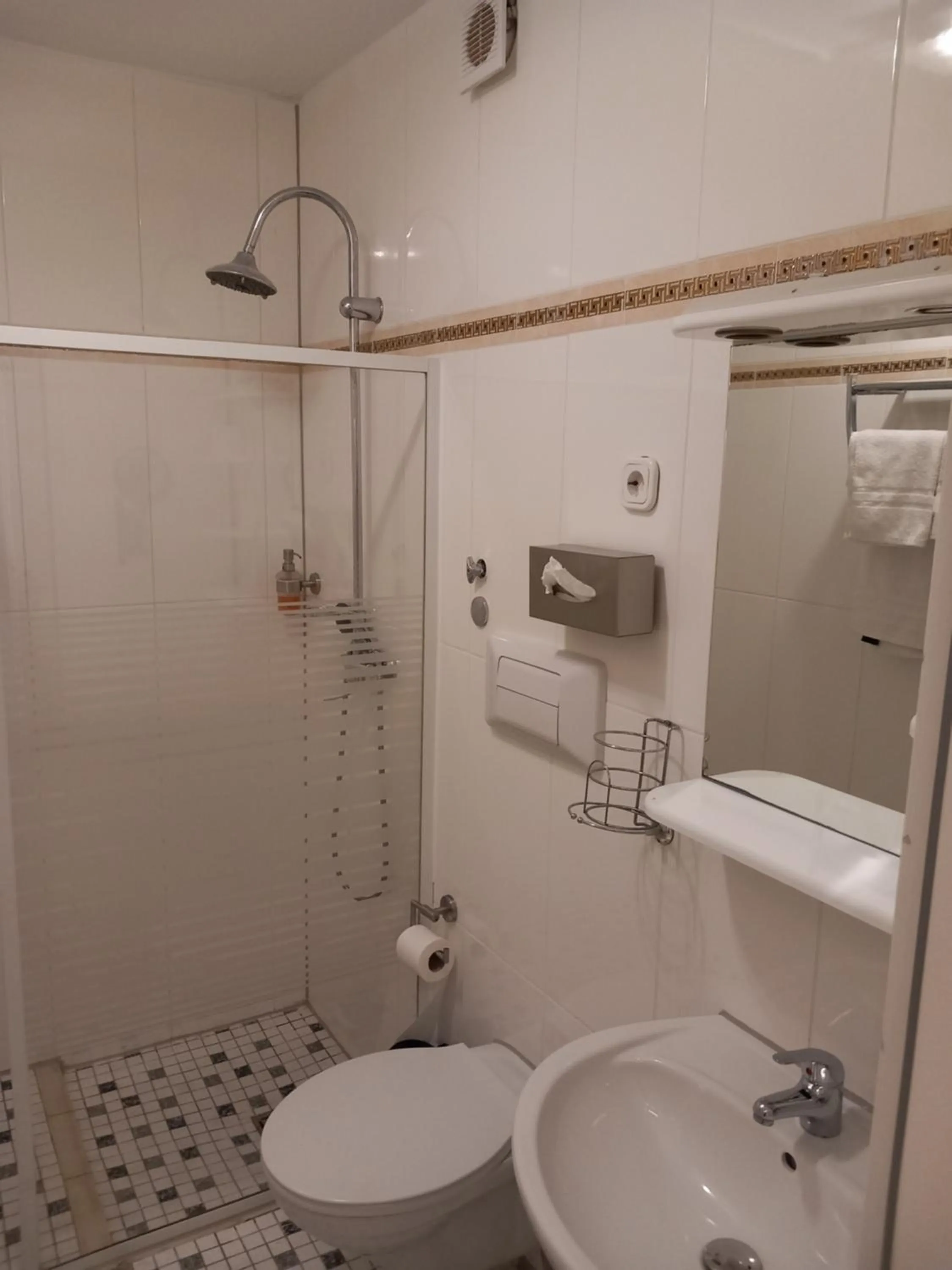 Shower in Hotel Hafez