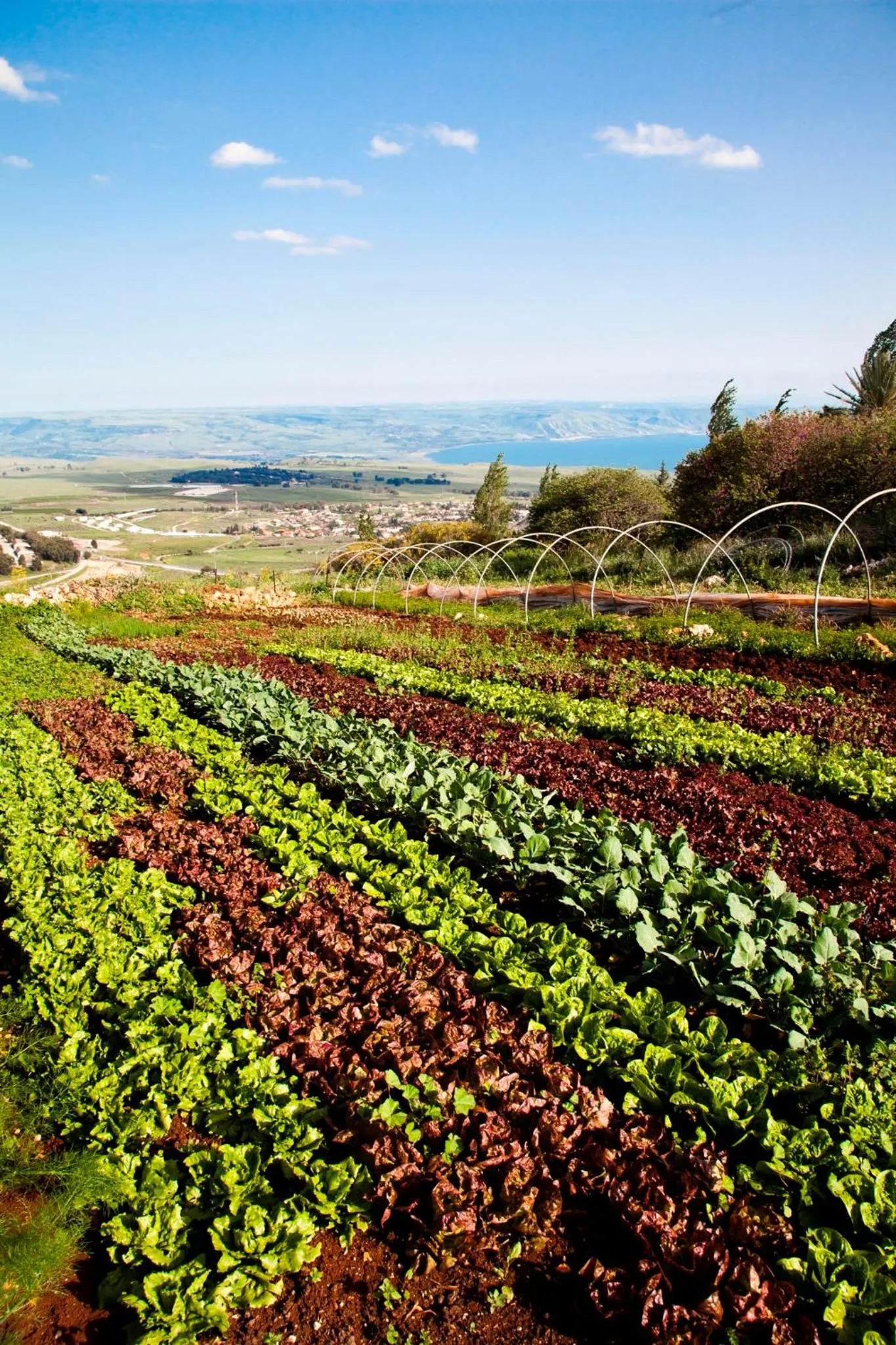 Hiking in Mizpe Hayamim by Isrotel Exclusive