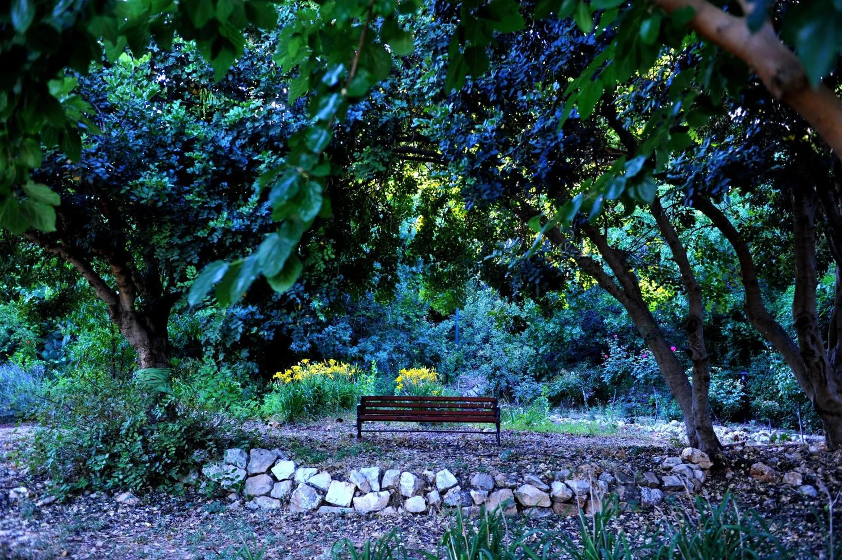 Garden in Mizpe Hayamim by Isrotel Exclusive