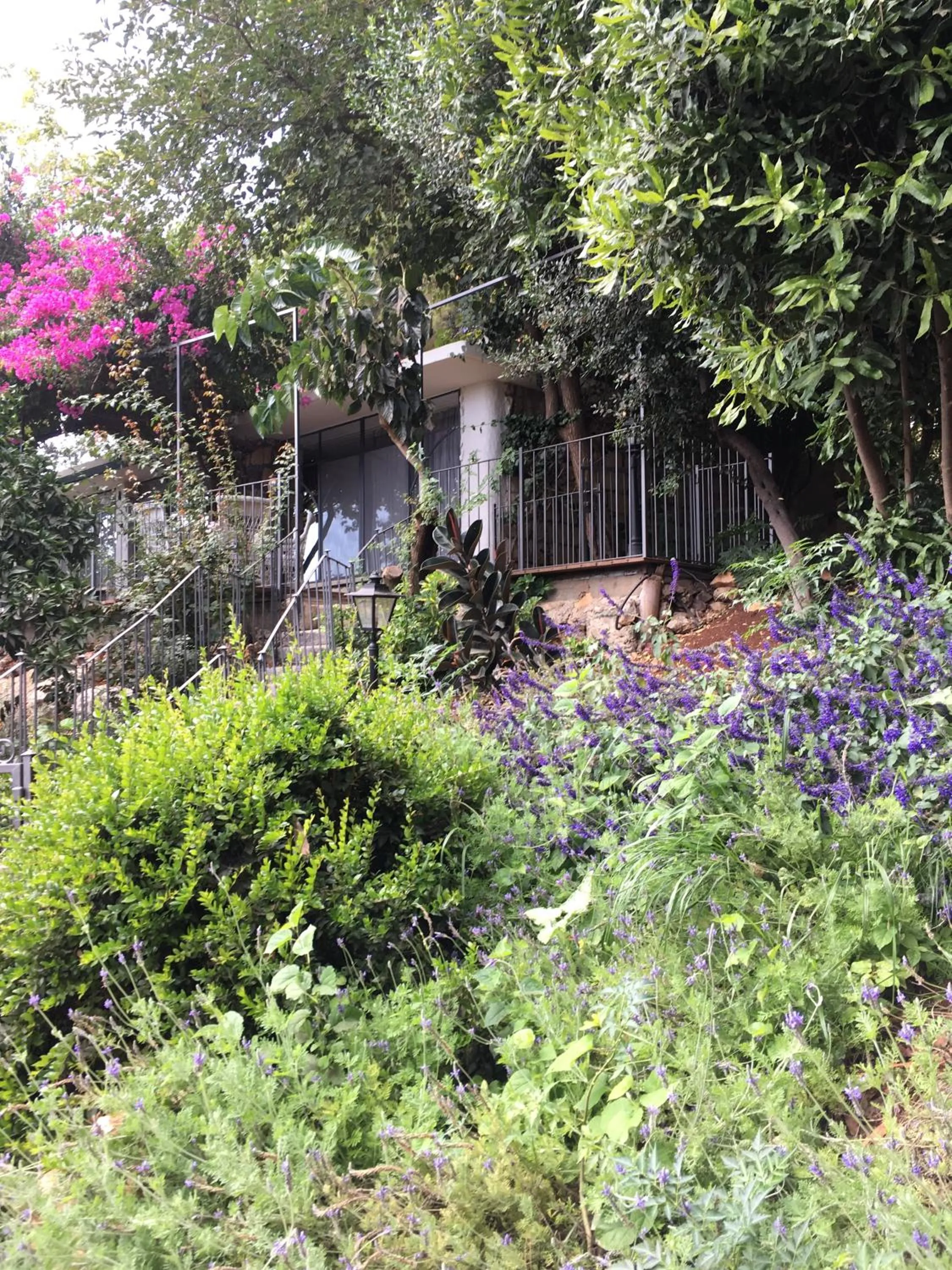 Garden in Mizpe Hayamim by Isrotel Exclusive