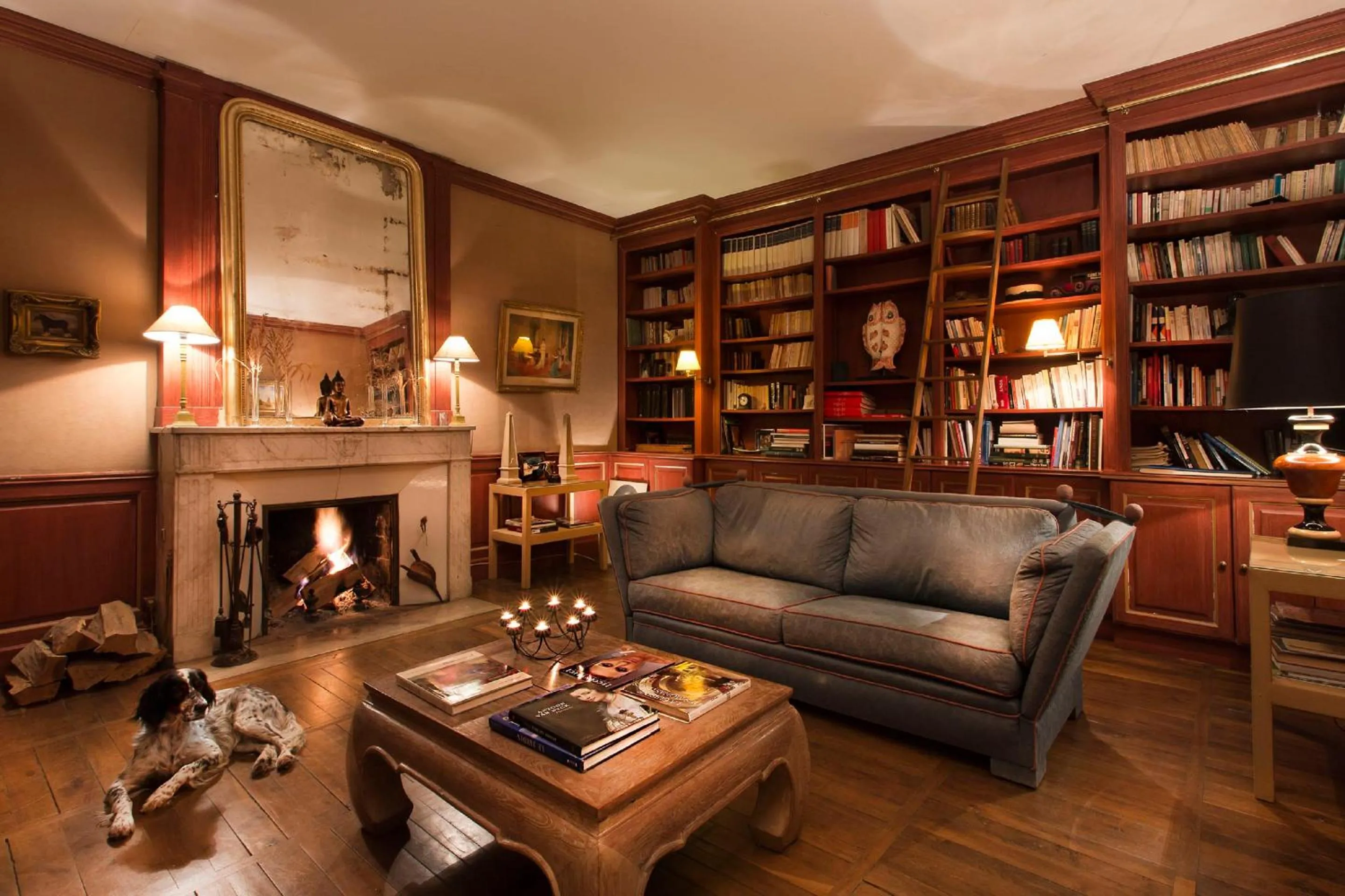Library in Château de Courban and Spa Nuxe