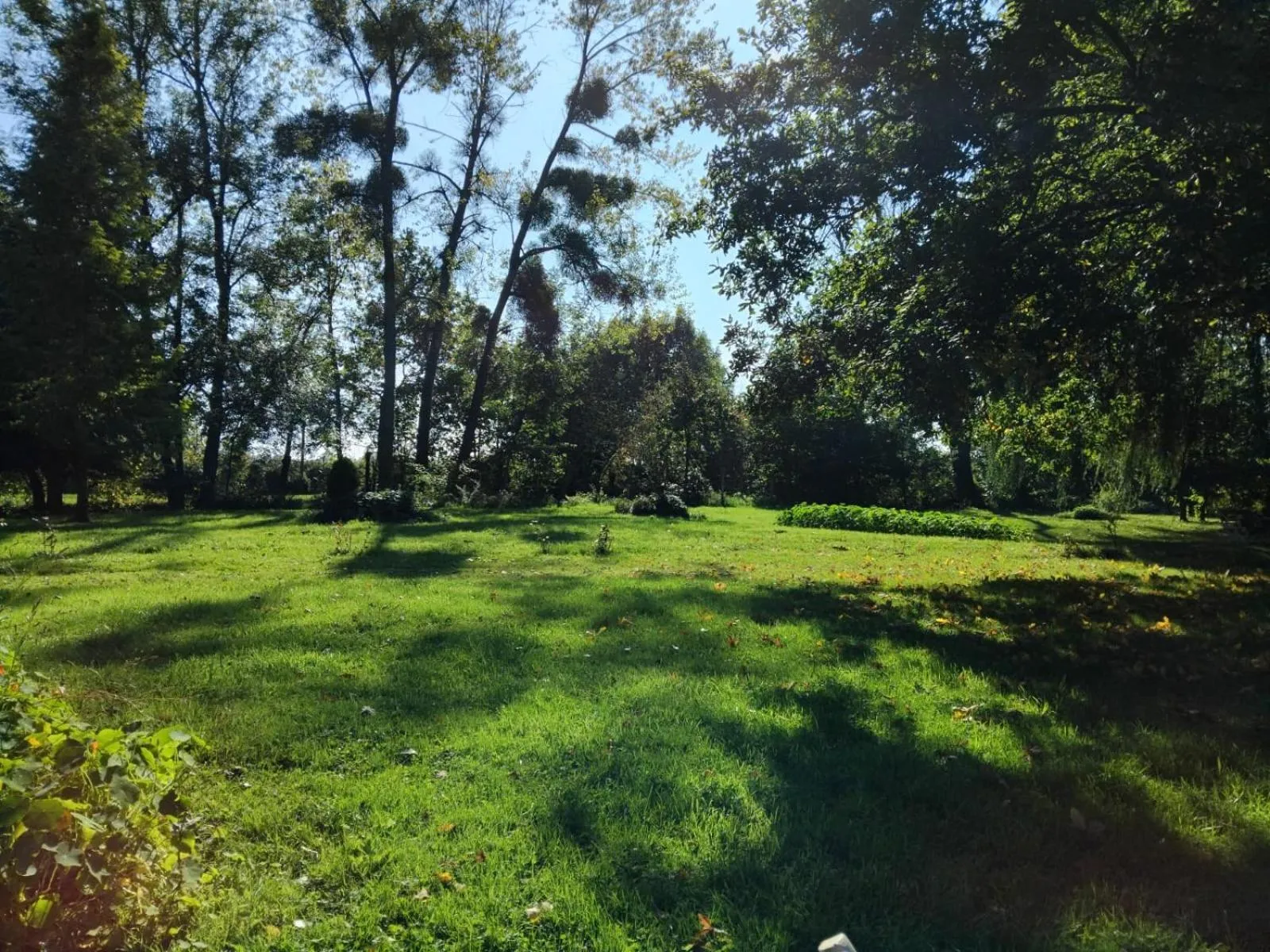 Garden in Logis Hôtel De France- Restaurant GRILL