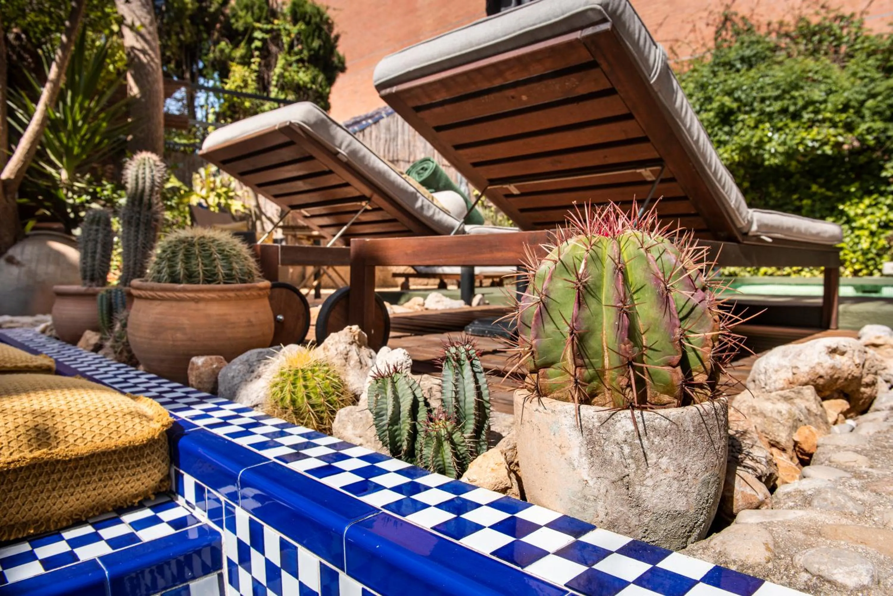 Garden in Casa Con Destino