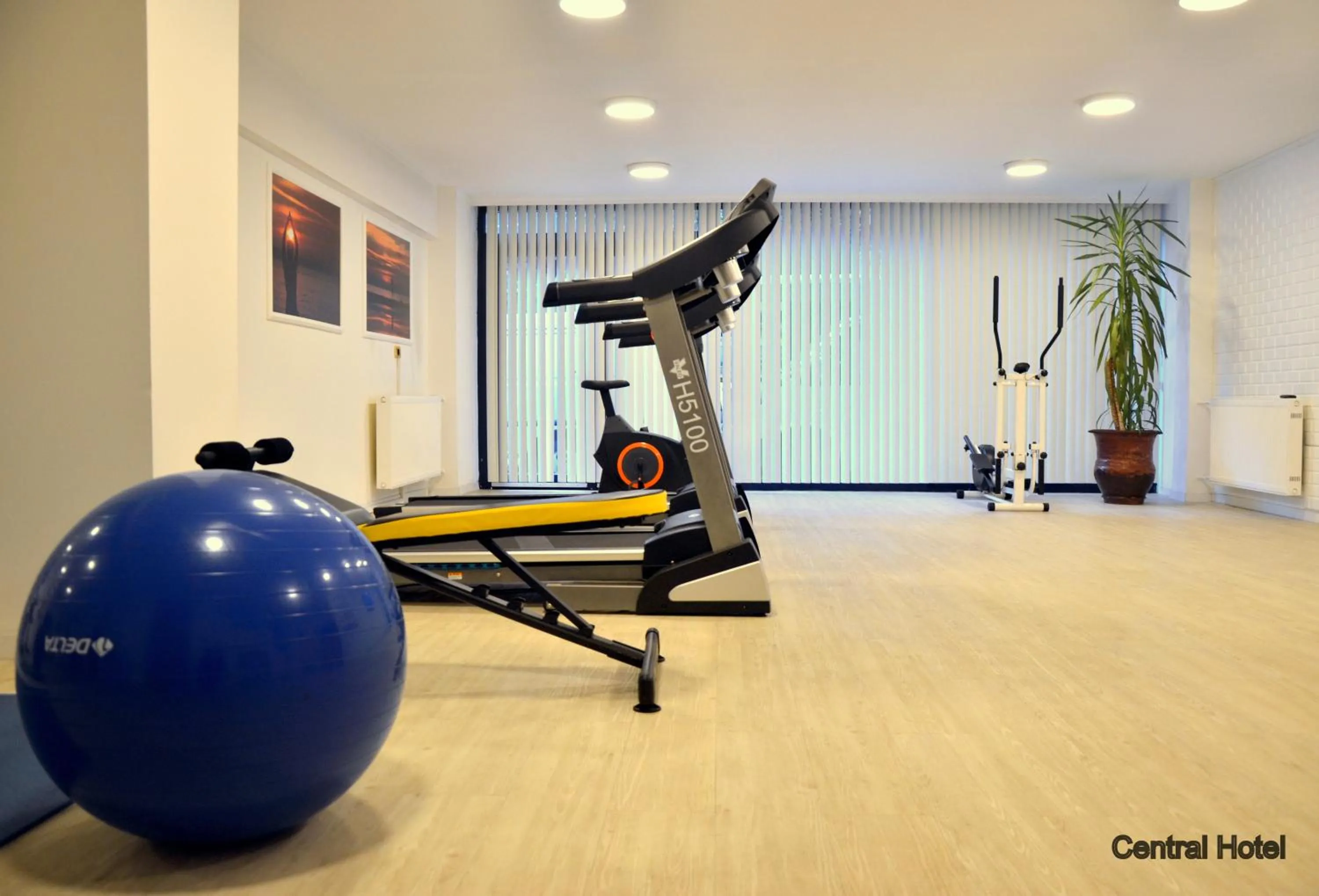 Hiking in Central Hotel