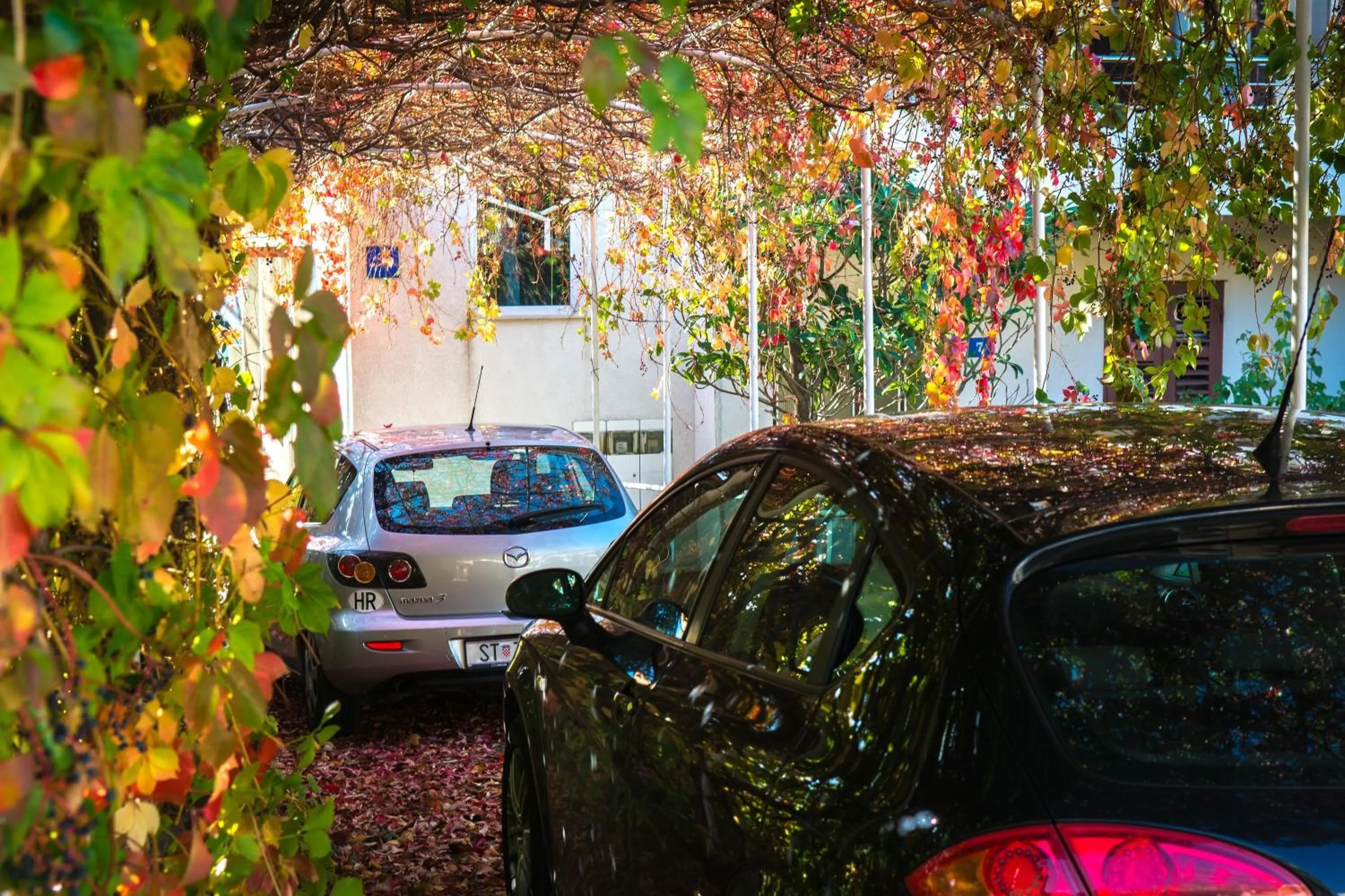 Facade/entrance in Apartments Duje