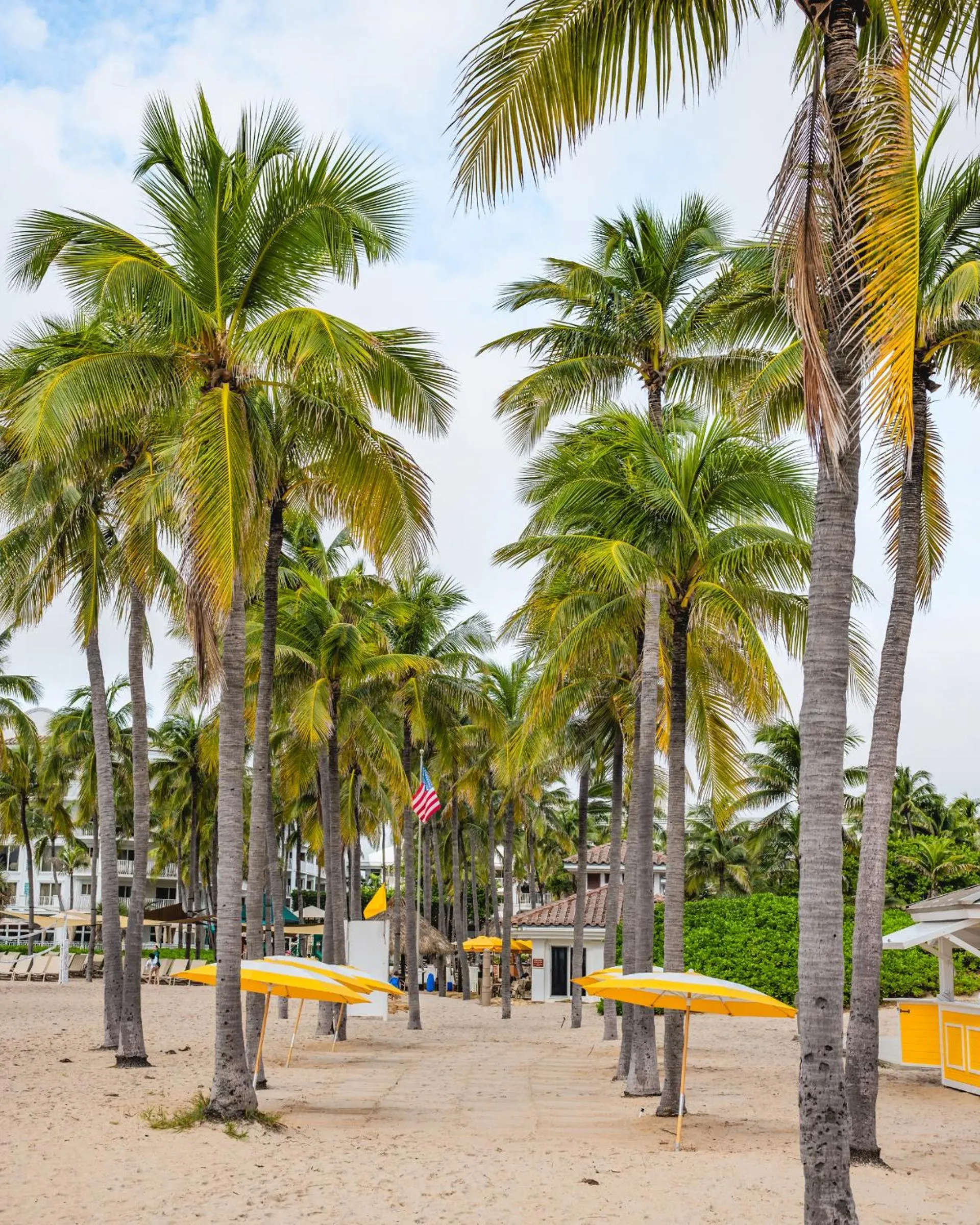 Beach in The Lago Mar Beach Resort and Club