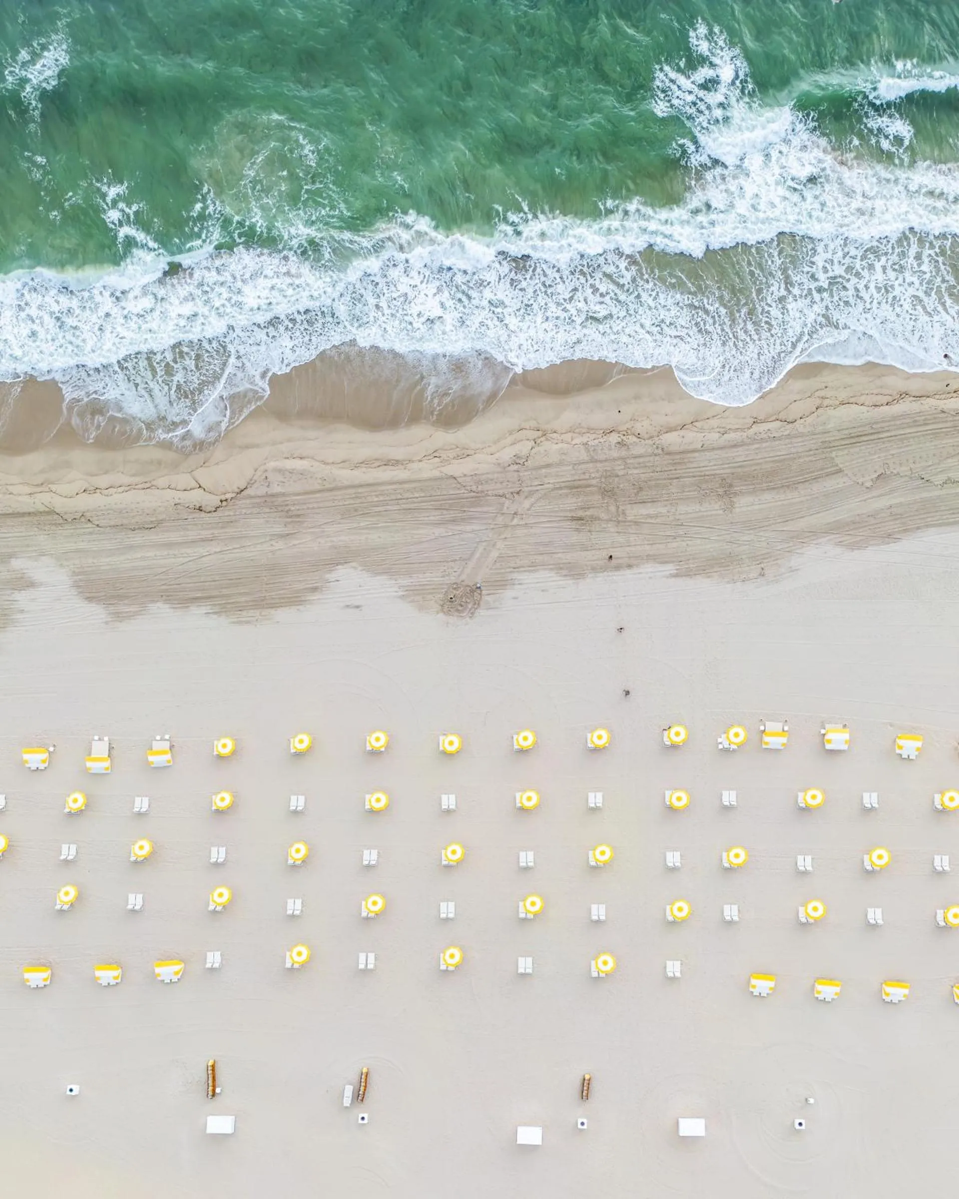 Beach in The Lago Mar Beach Resort and Club