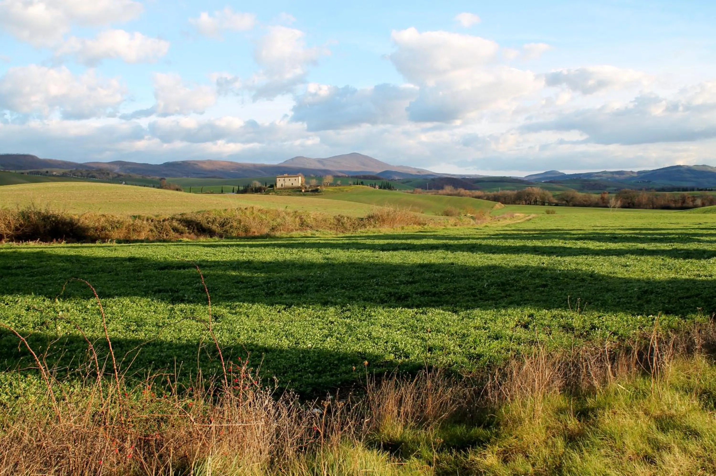 Landmark view in Palazzo Palesa