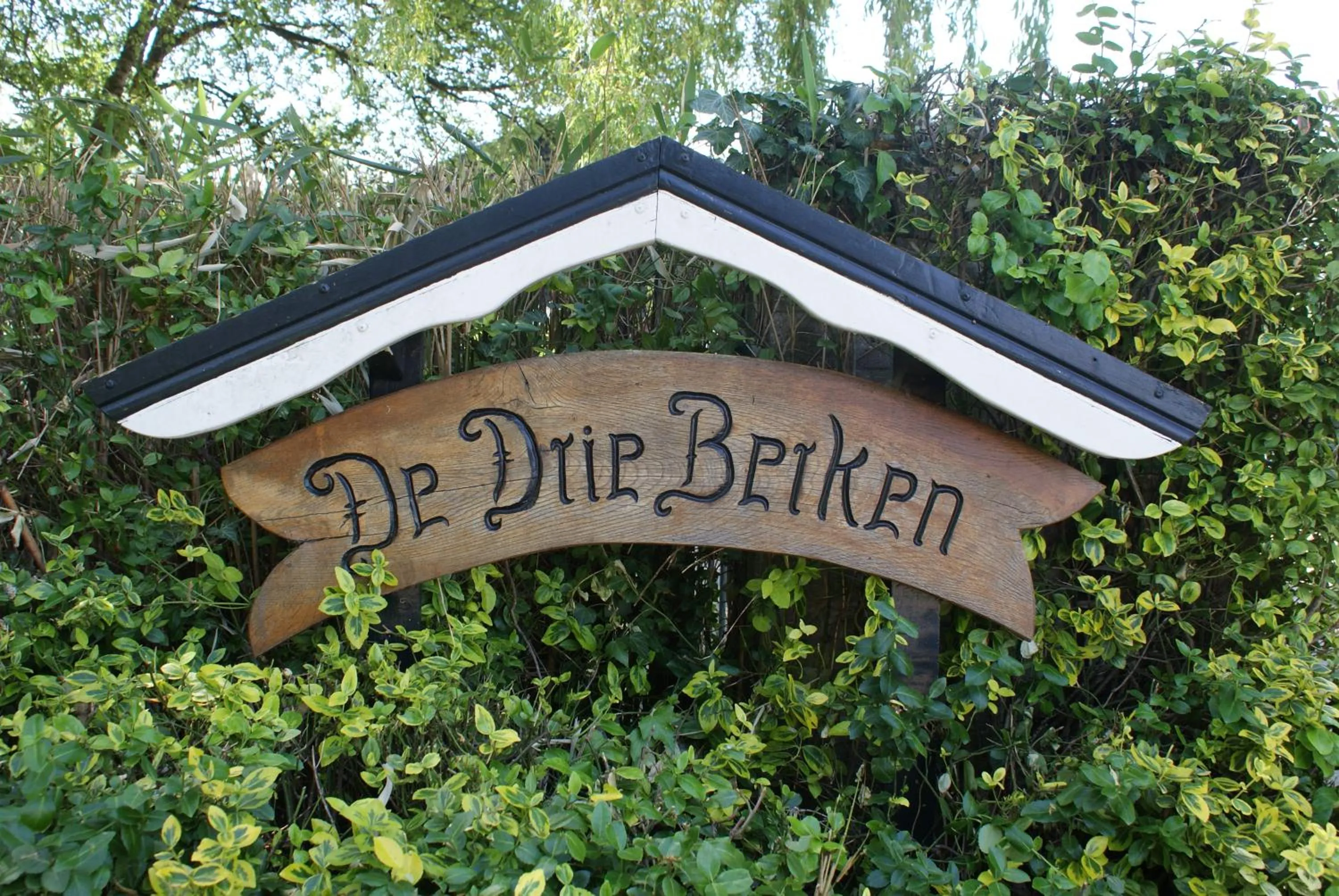 Property building in De Drie Berken