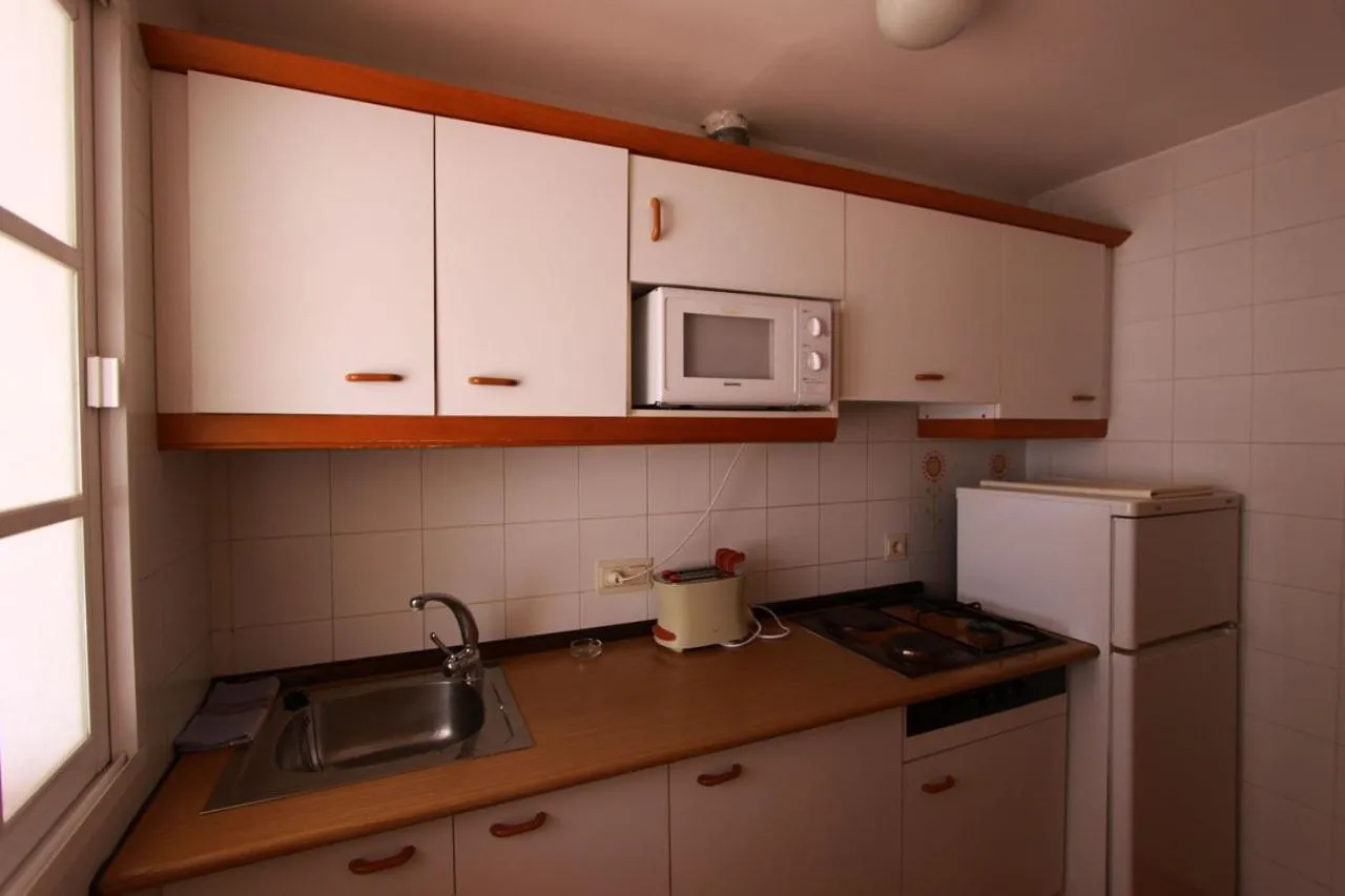 Kitchen or kitchenette in El Gran González Viviendas con Fines Turísticos