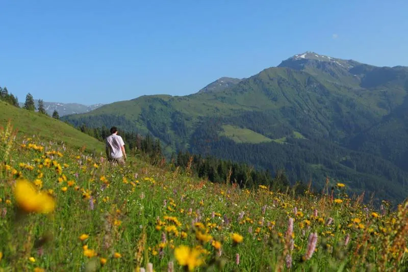 Day in Biohotel Grafenast