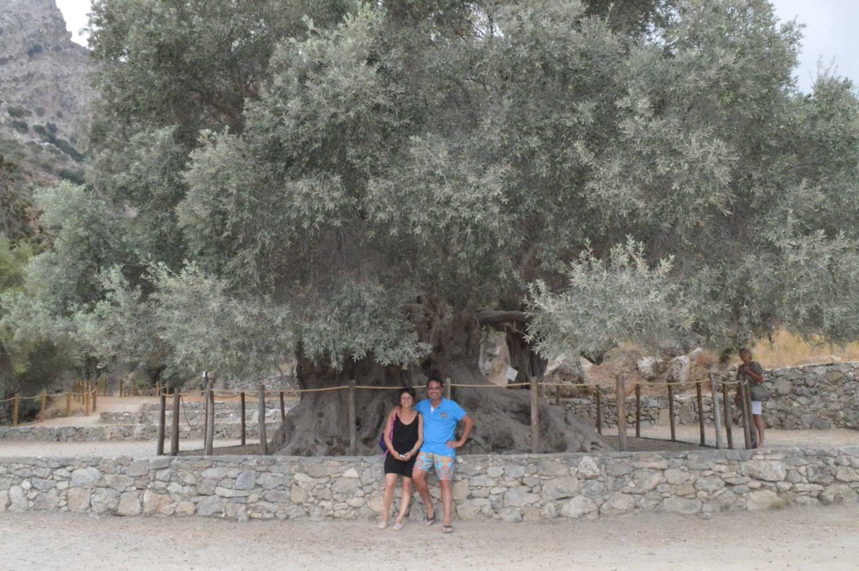 group of guests in Tholos Rooms