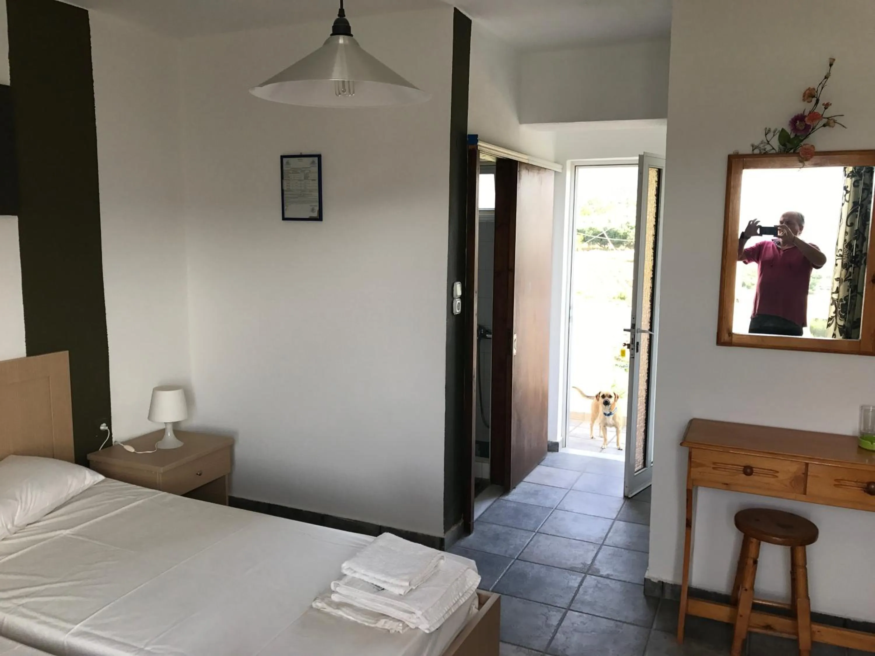 Pets, Bed in Tholos Rooms