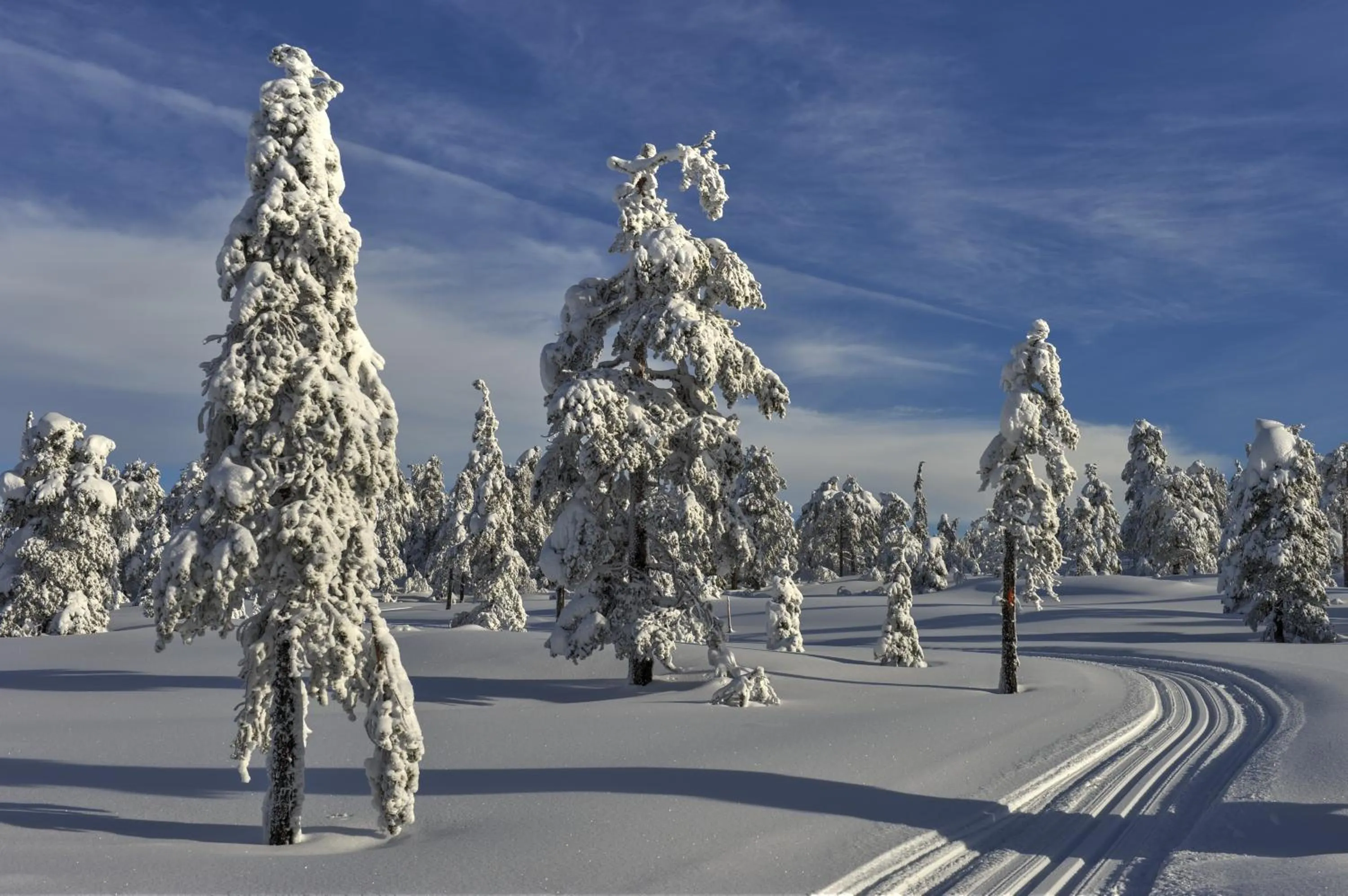 Natural landscape in Tyrifjord Hotell