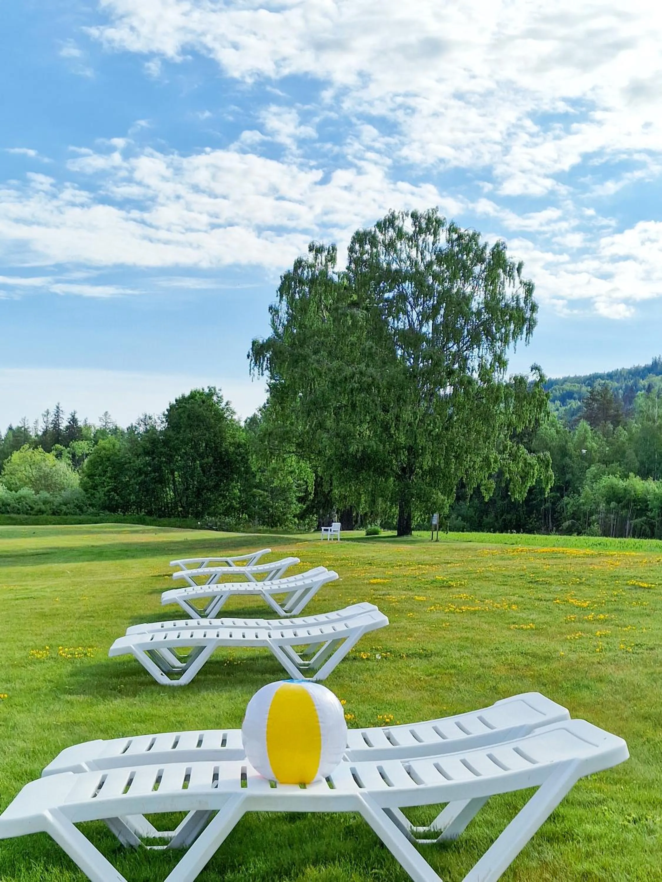 Beach in Tyrifjord Hotell