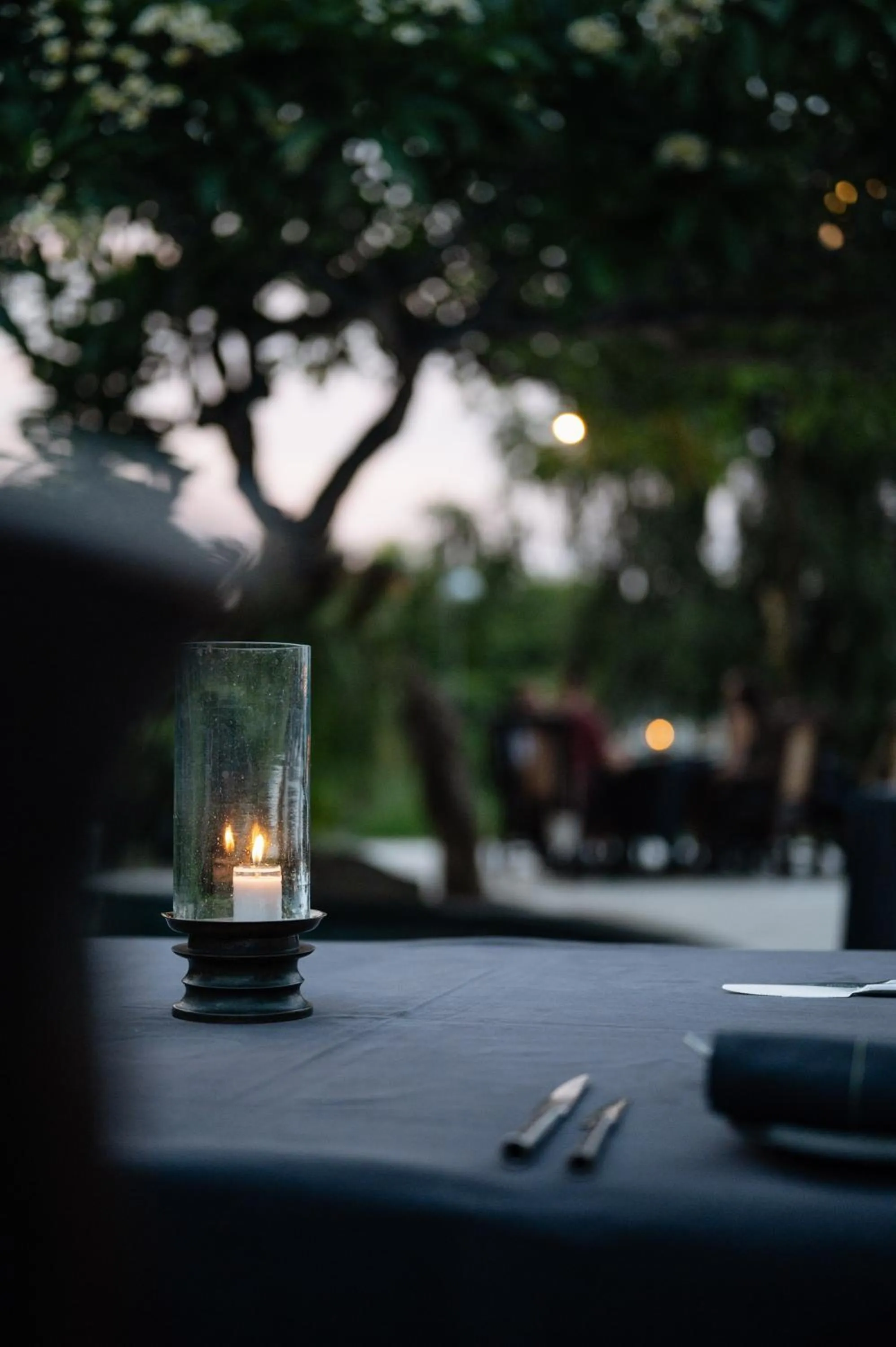 Restaurant/places to eat in The Damai