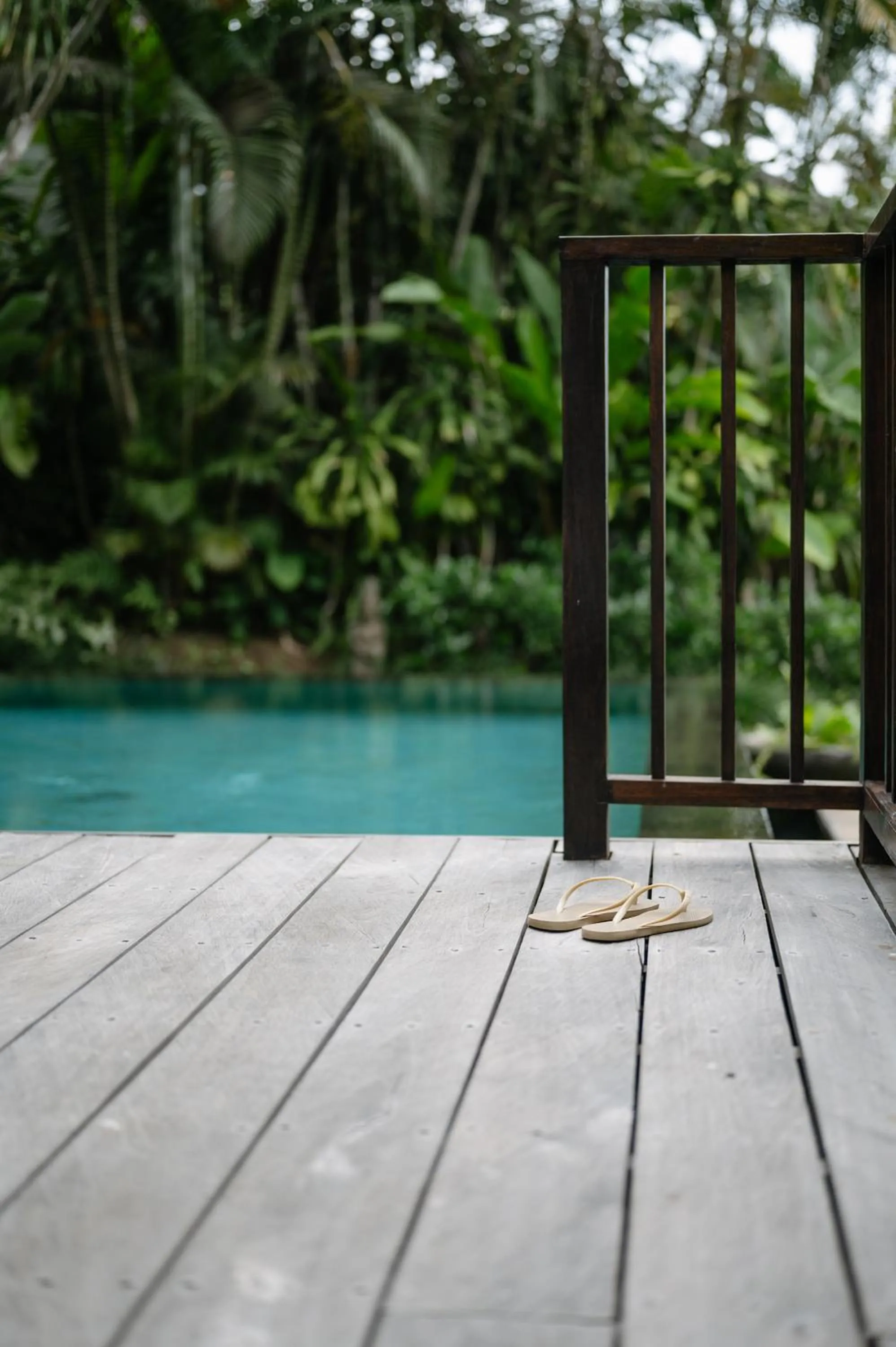 Swimming pool in The Damai