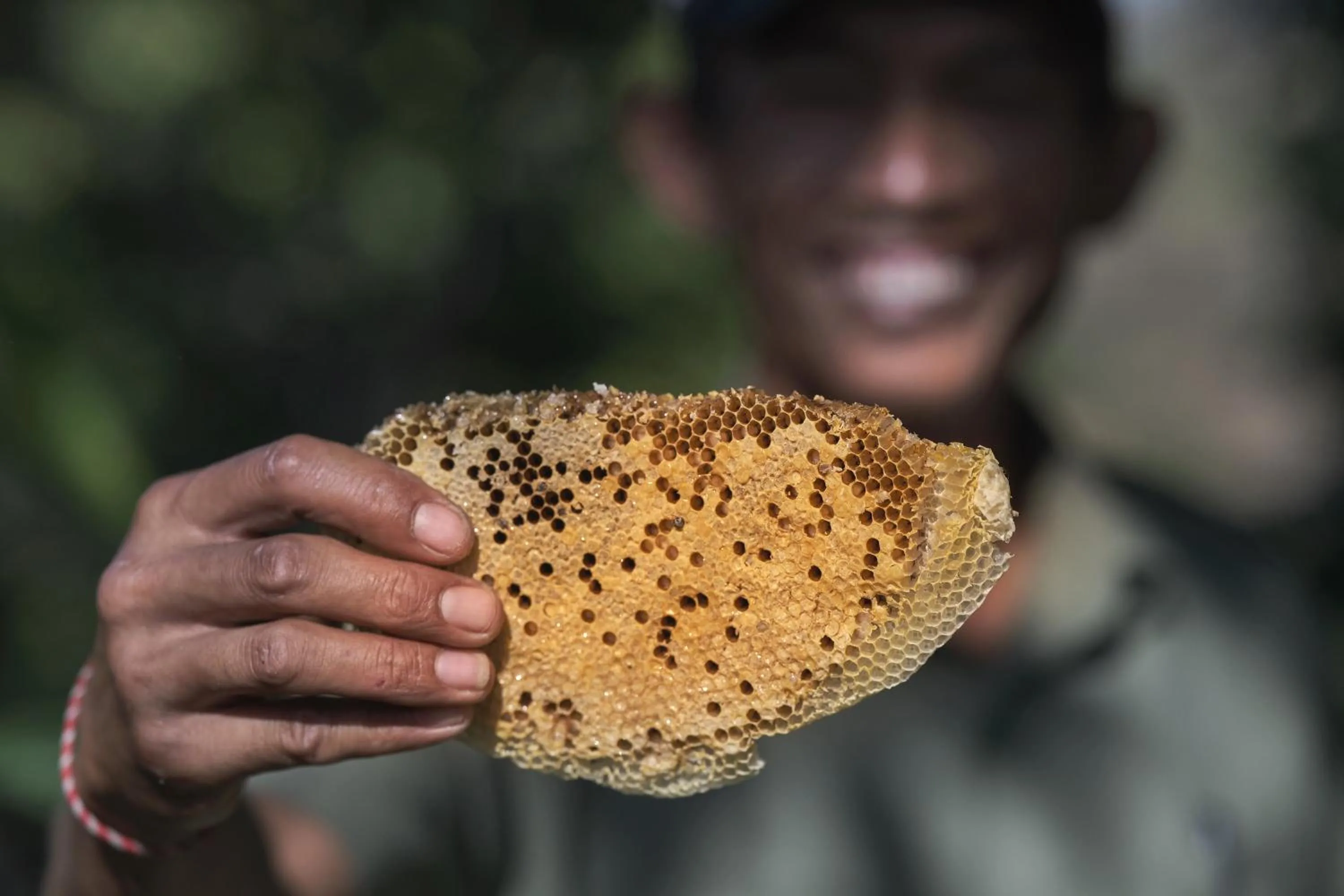 Natural landscape in The Damai
