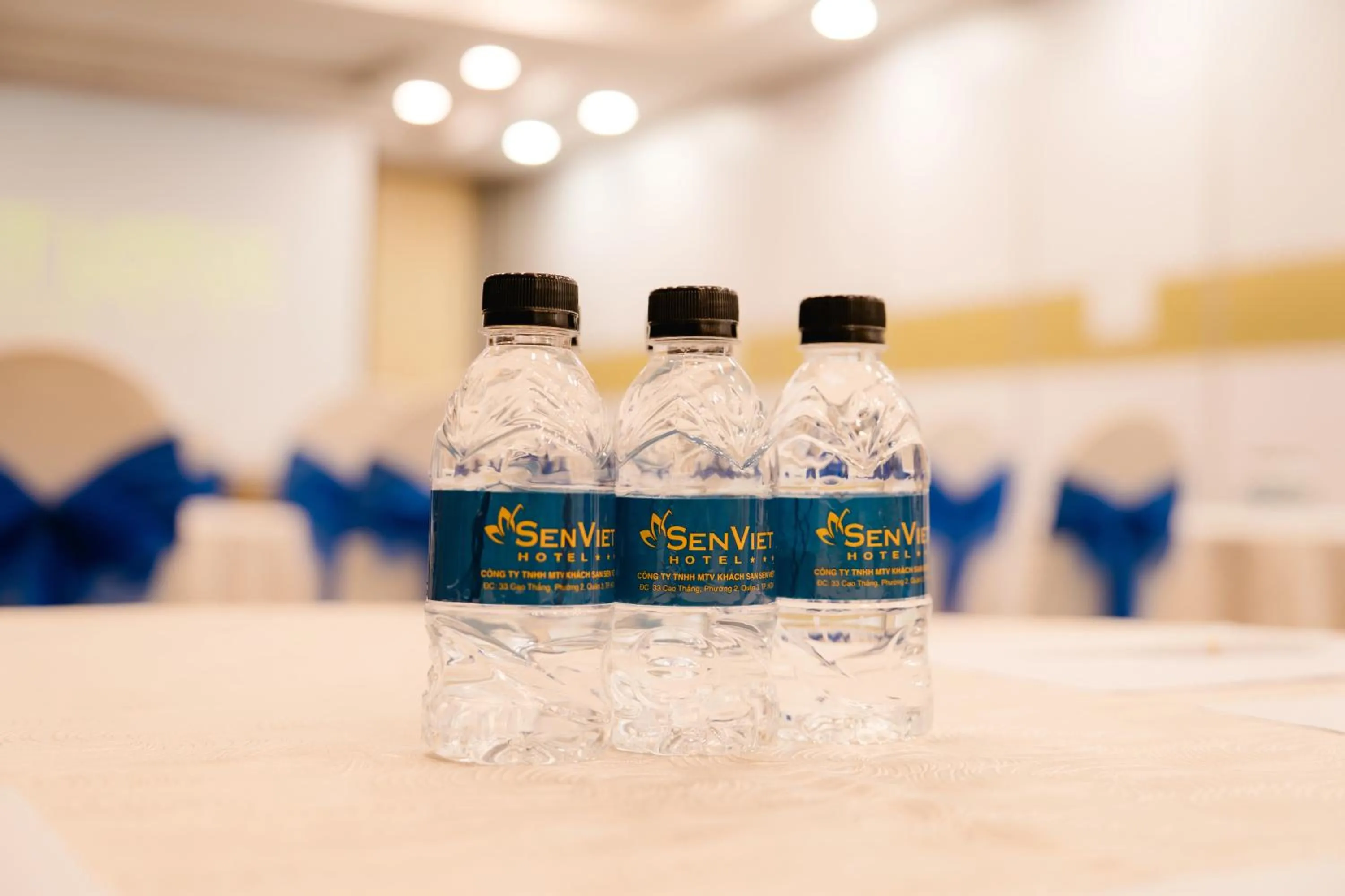 Banquet/Function facilities in Viet Lotus Saigon Hotel