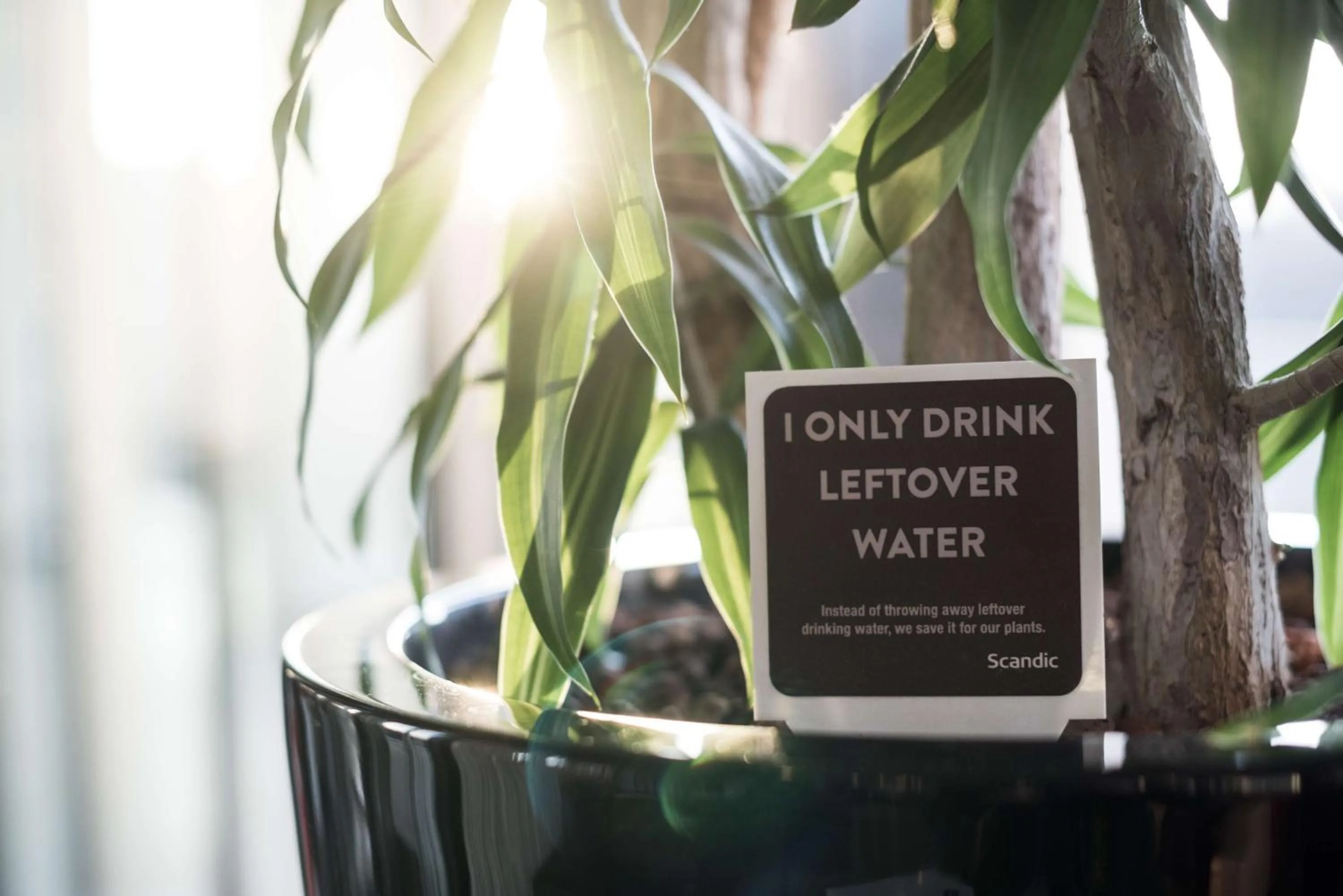 Property building in Scandic Berlin Potsdamer Platz