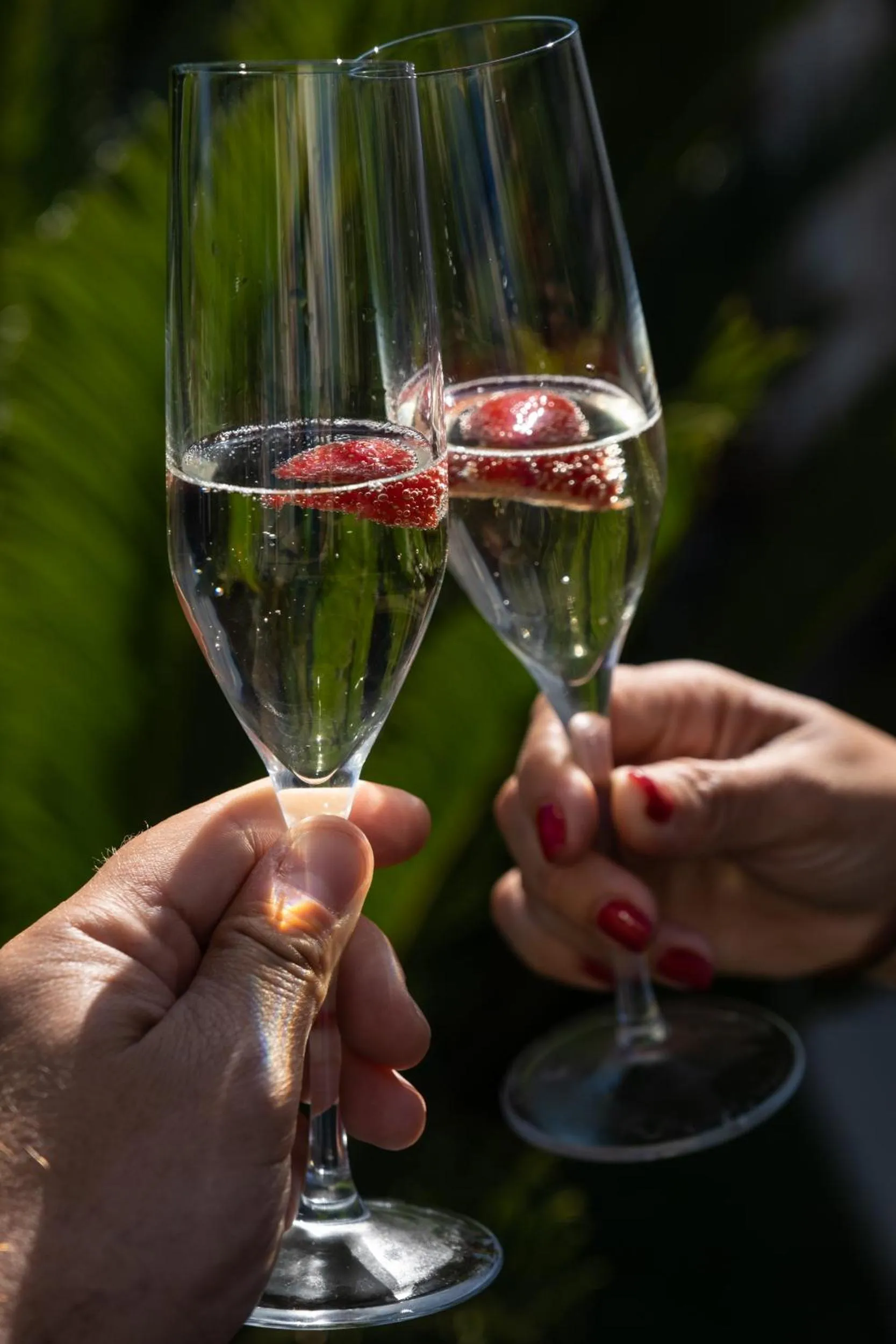 Food and drinks in Bramasole Alaçatı