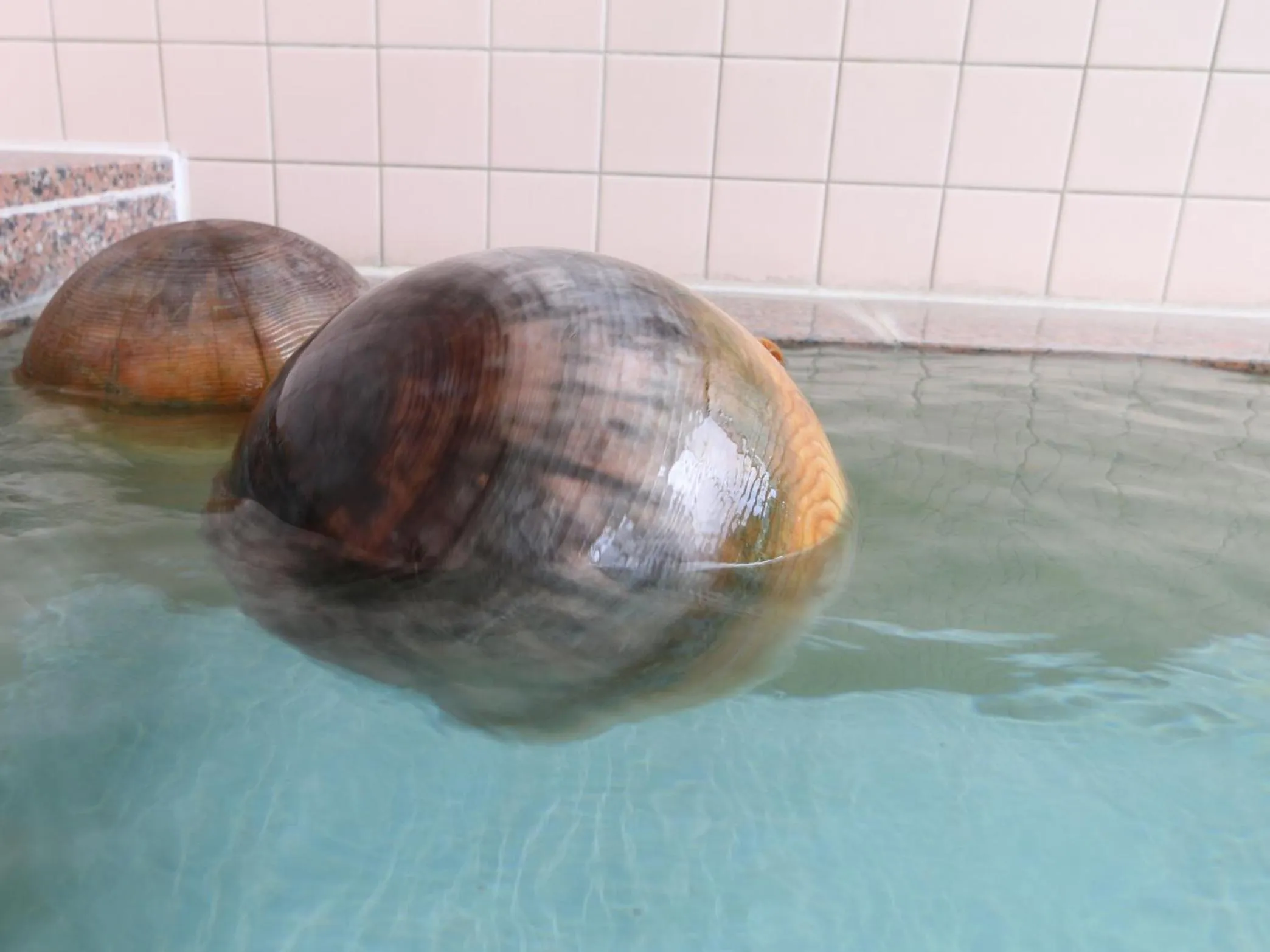 Hot Spring Bath in Komao