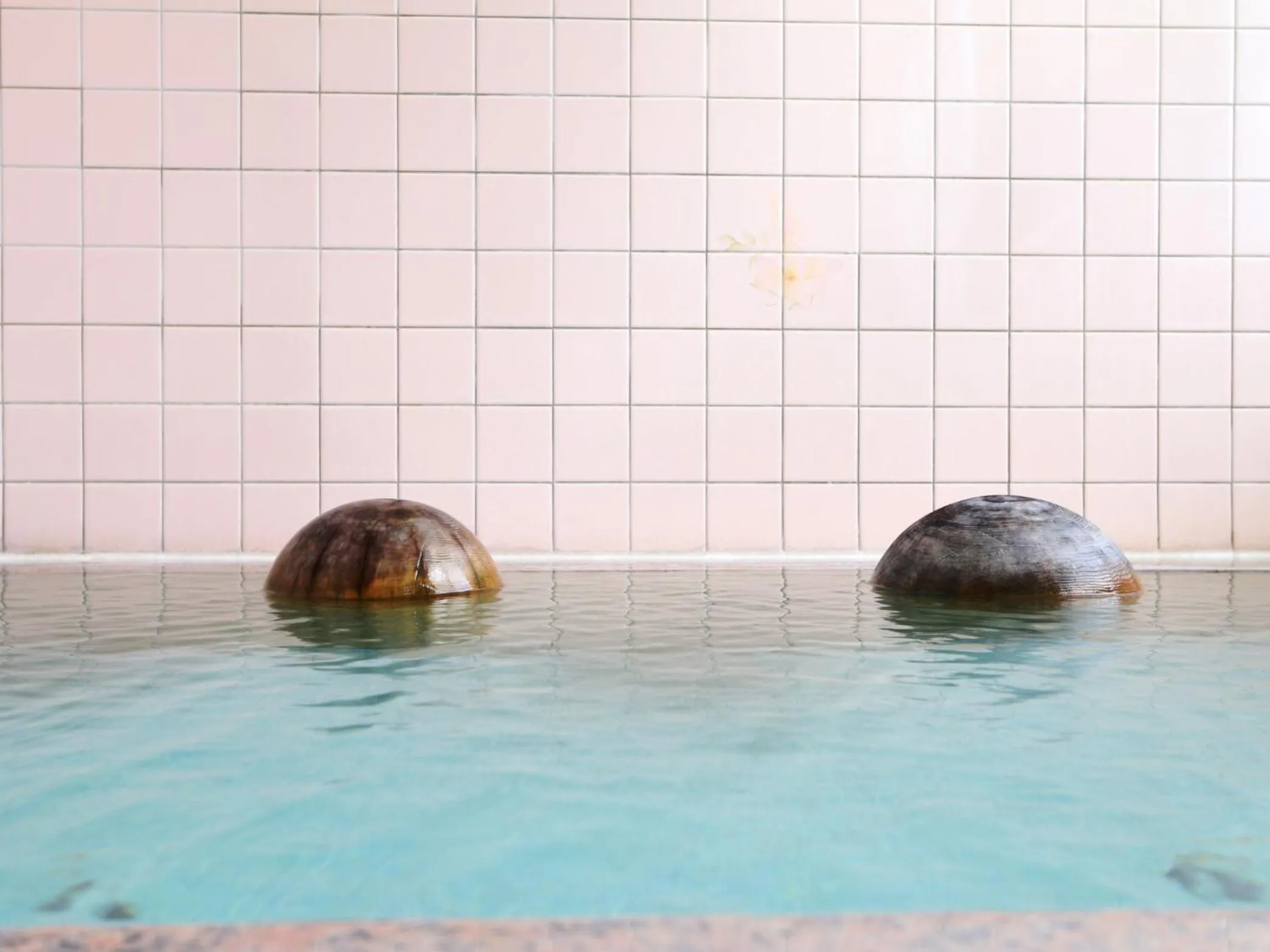 Hot Spring Bath in Komao