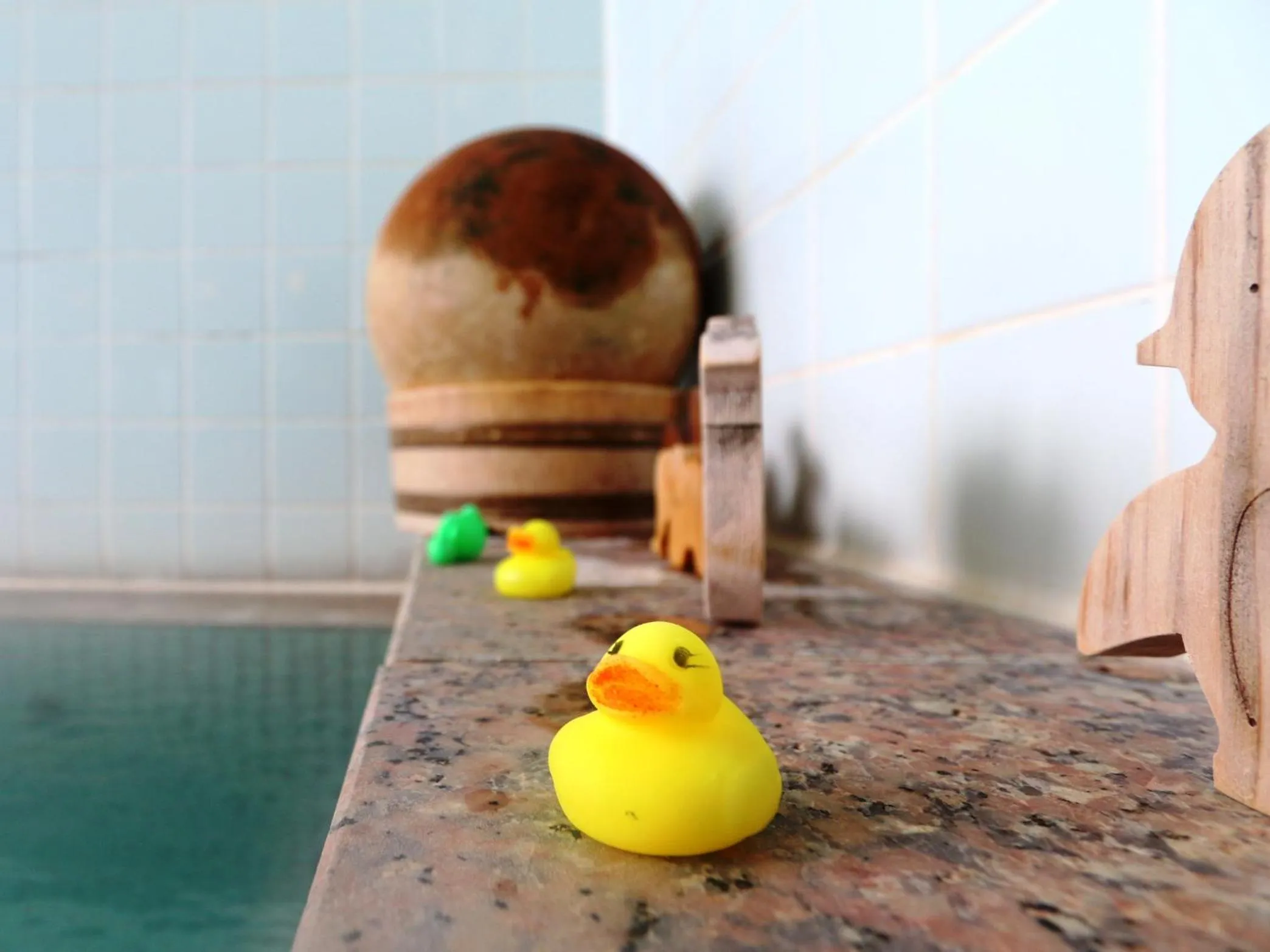 Hot Spring Bath in Komao