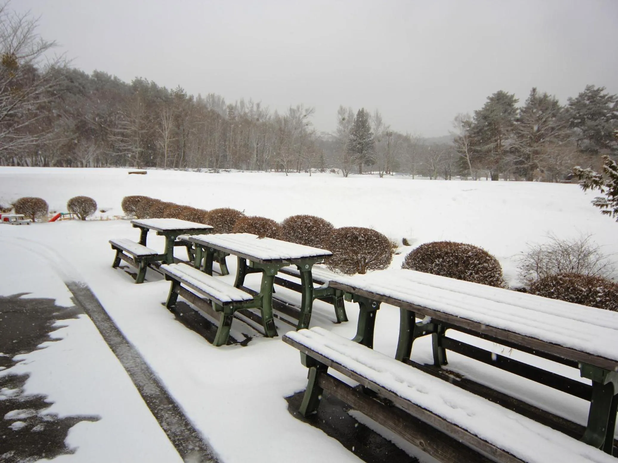 Natural landscape in Komao