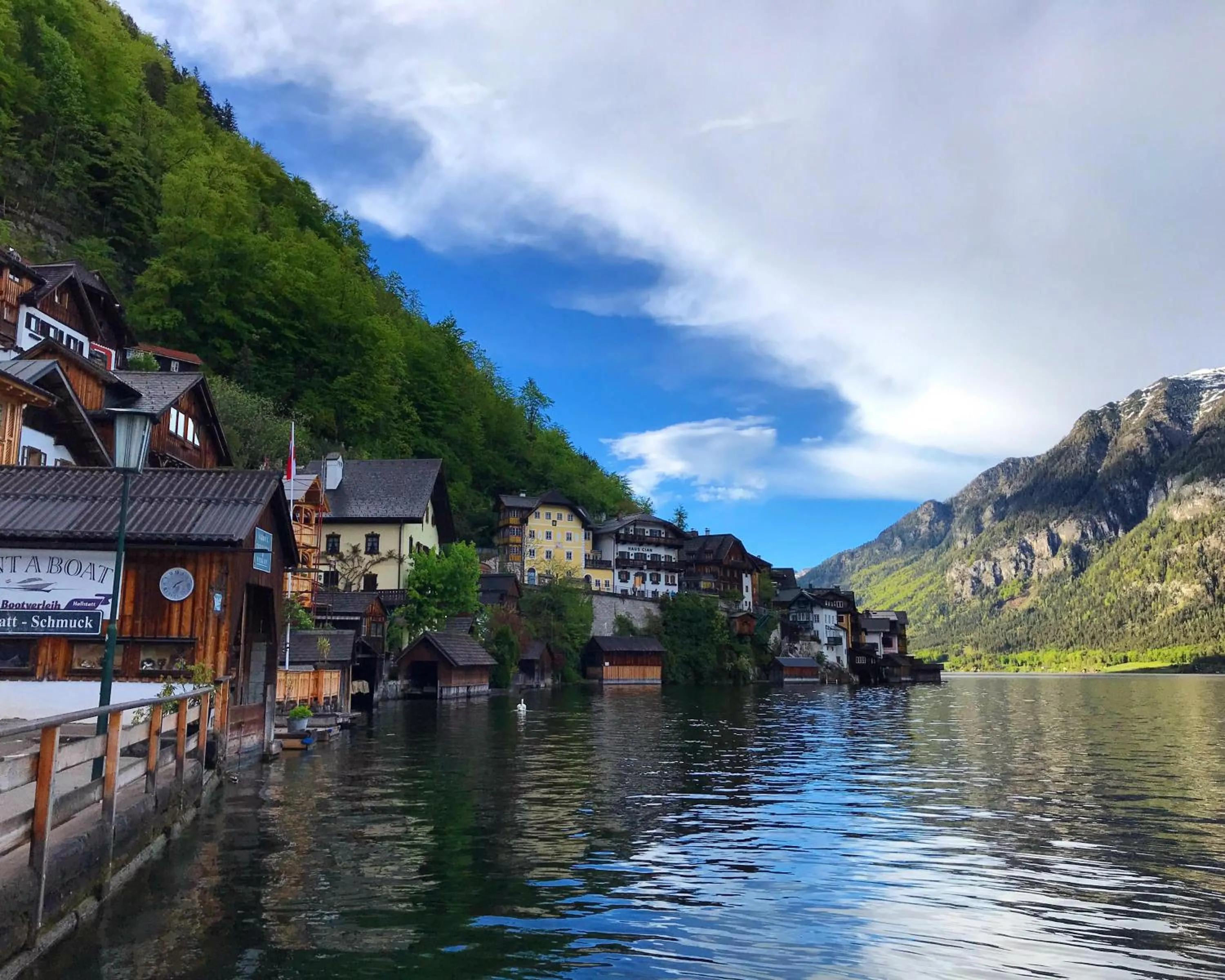 Animals in Chalet am Sonnenhang