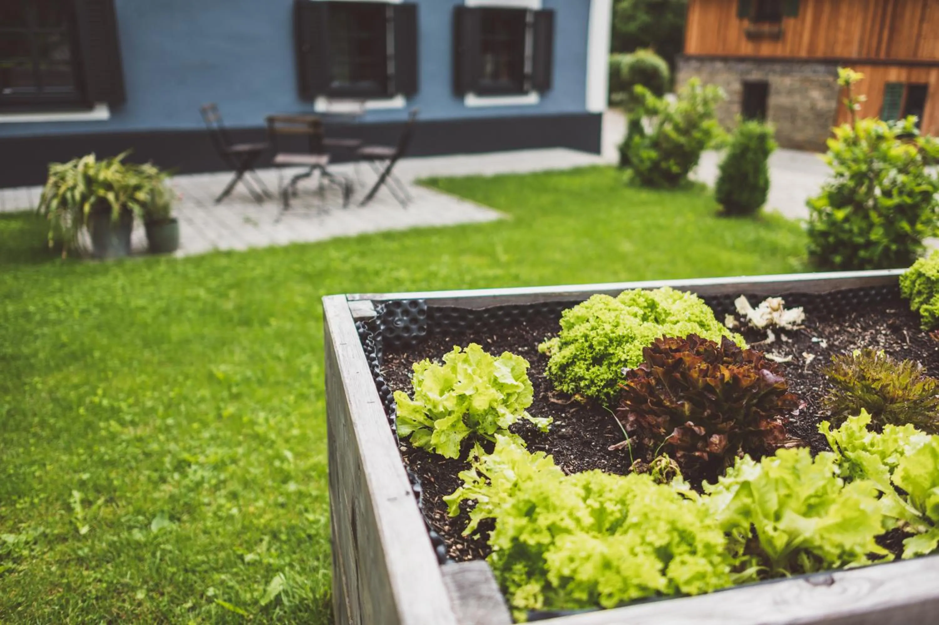 Garden in Chalet am Sonnenhang