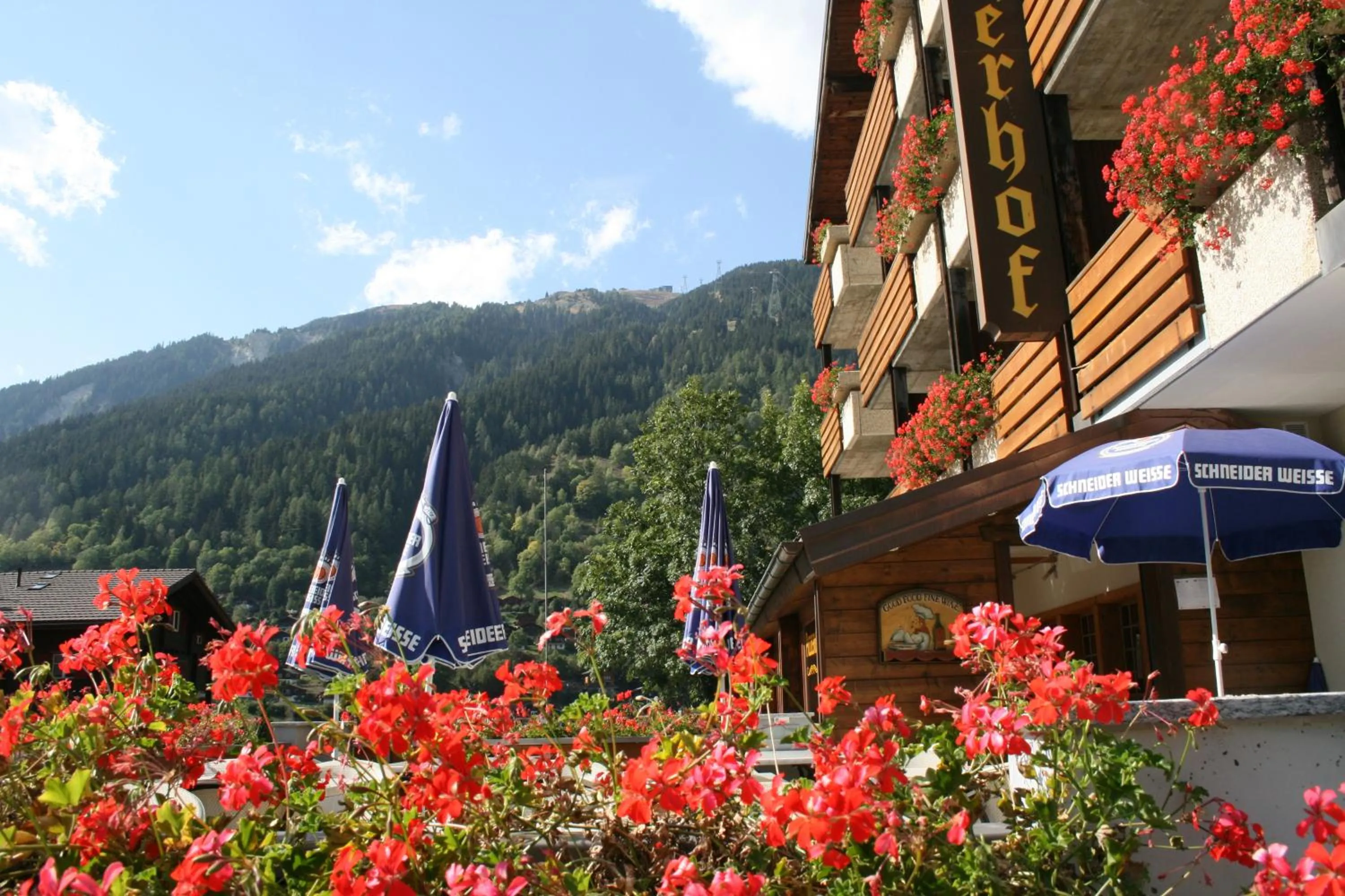 Facade/entrance in Hotel Fiescherhof