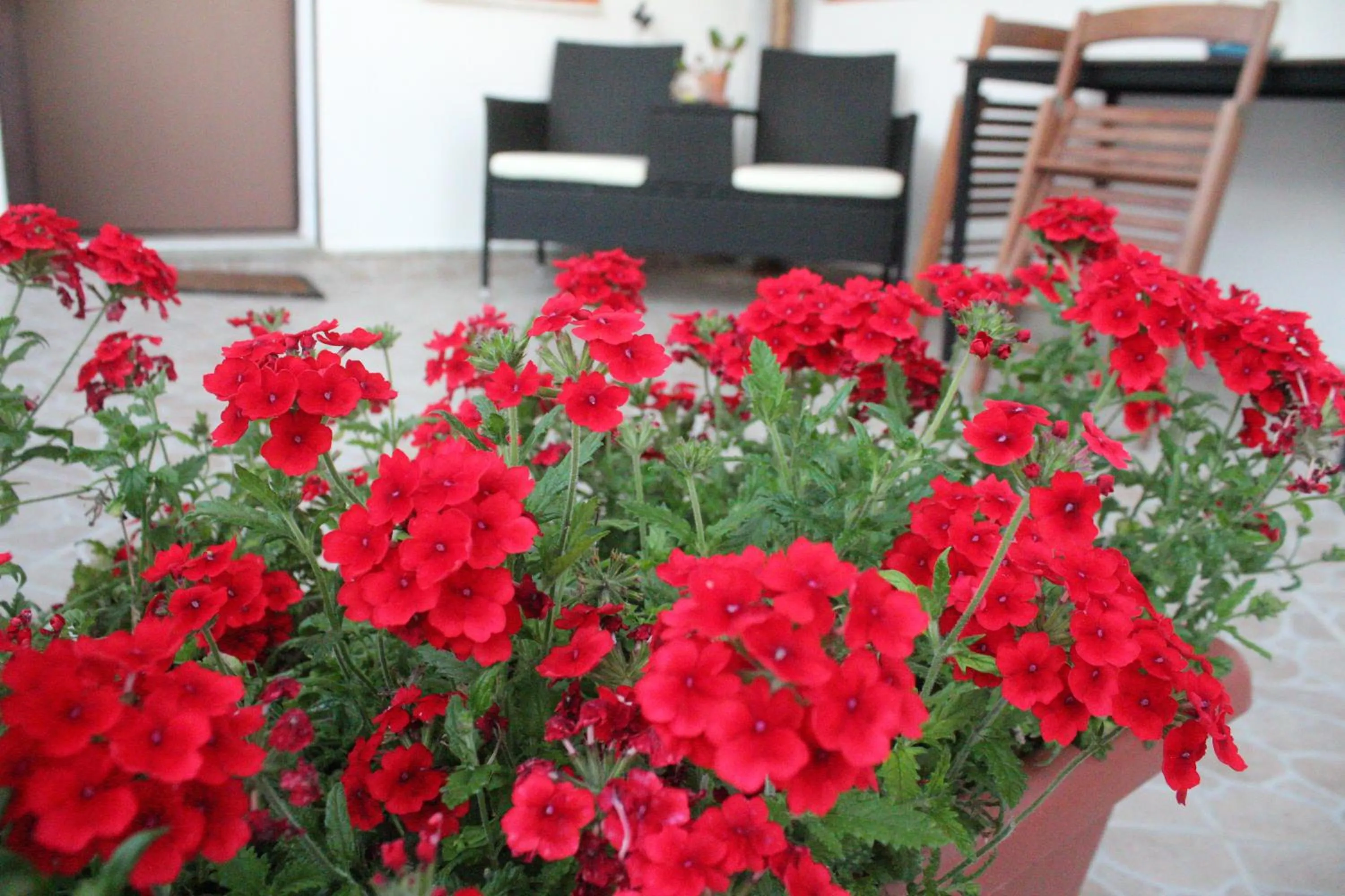 Property building in B&B Verzavò