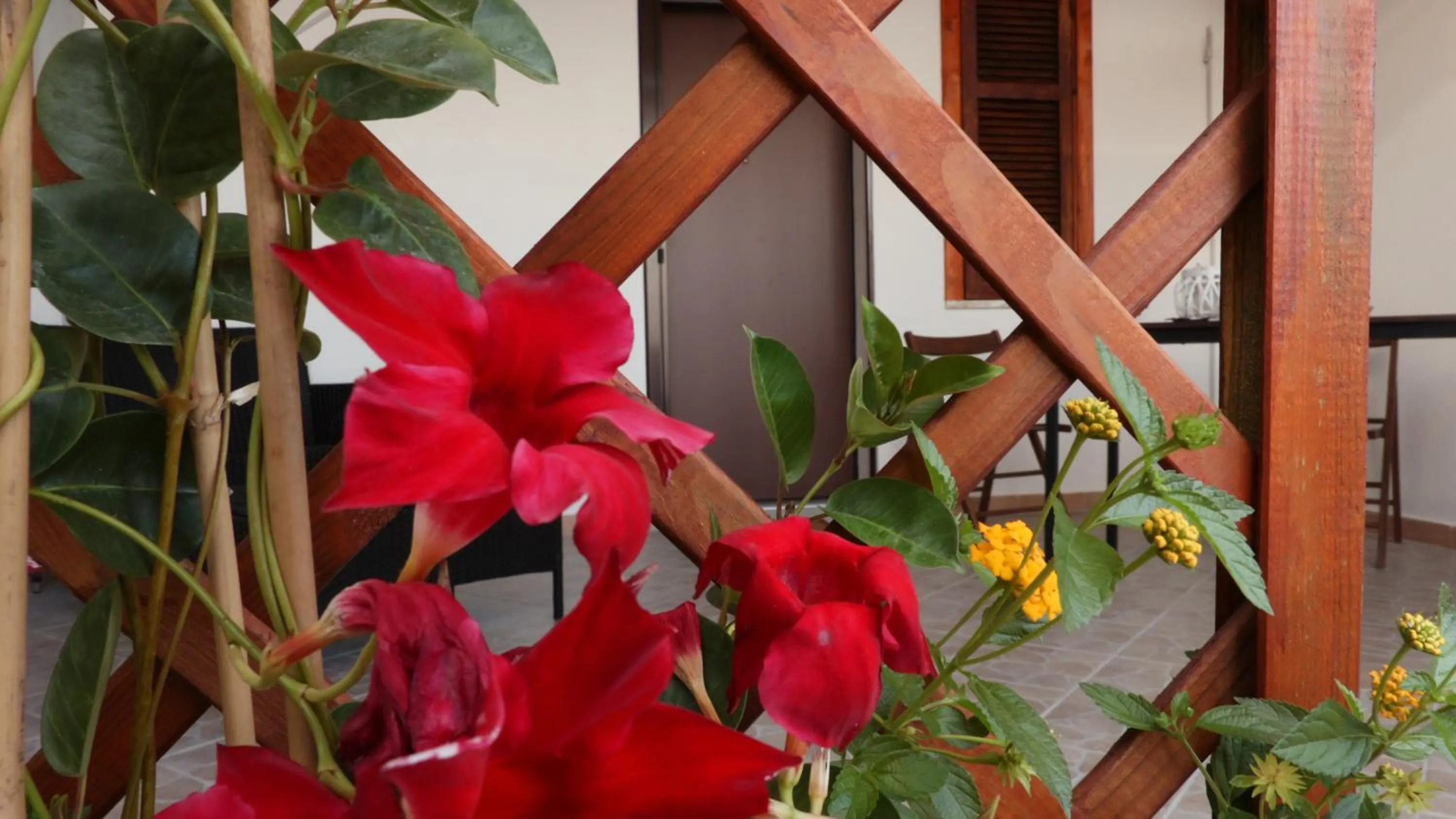 Property building in B&B Verzavò