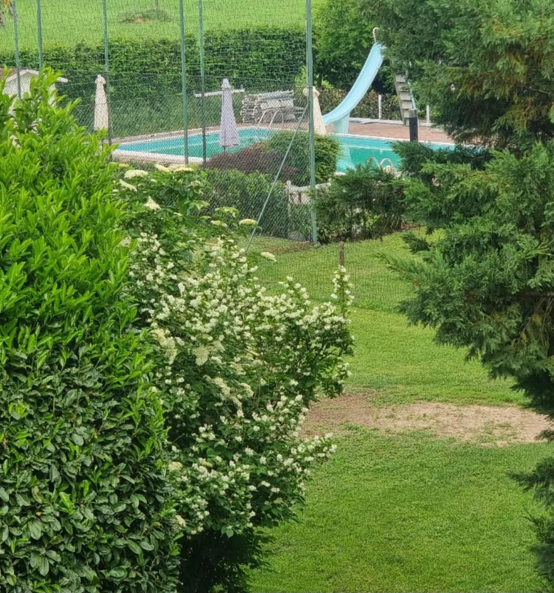 Natural landscape in Hotel De La Ville