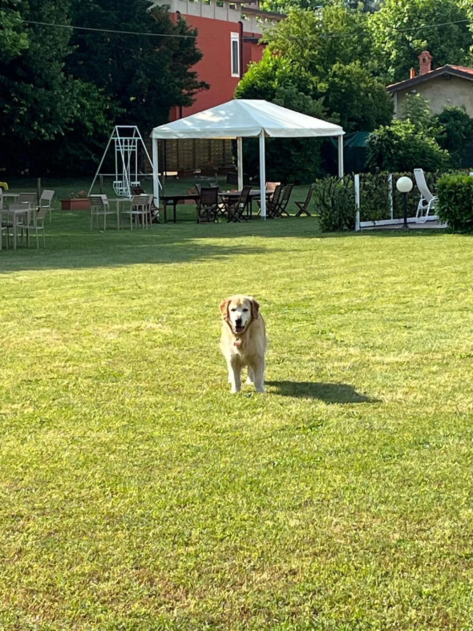 Garden in Hotel De La Ville