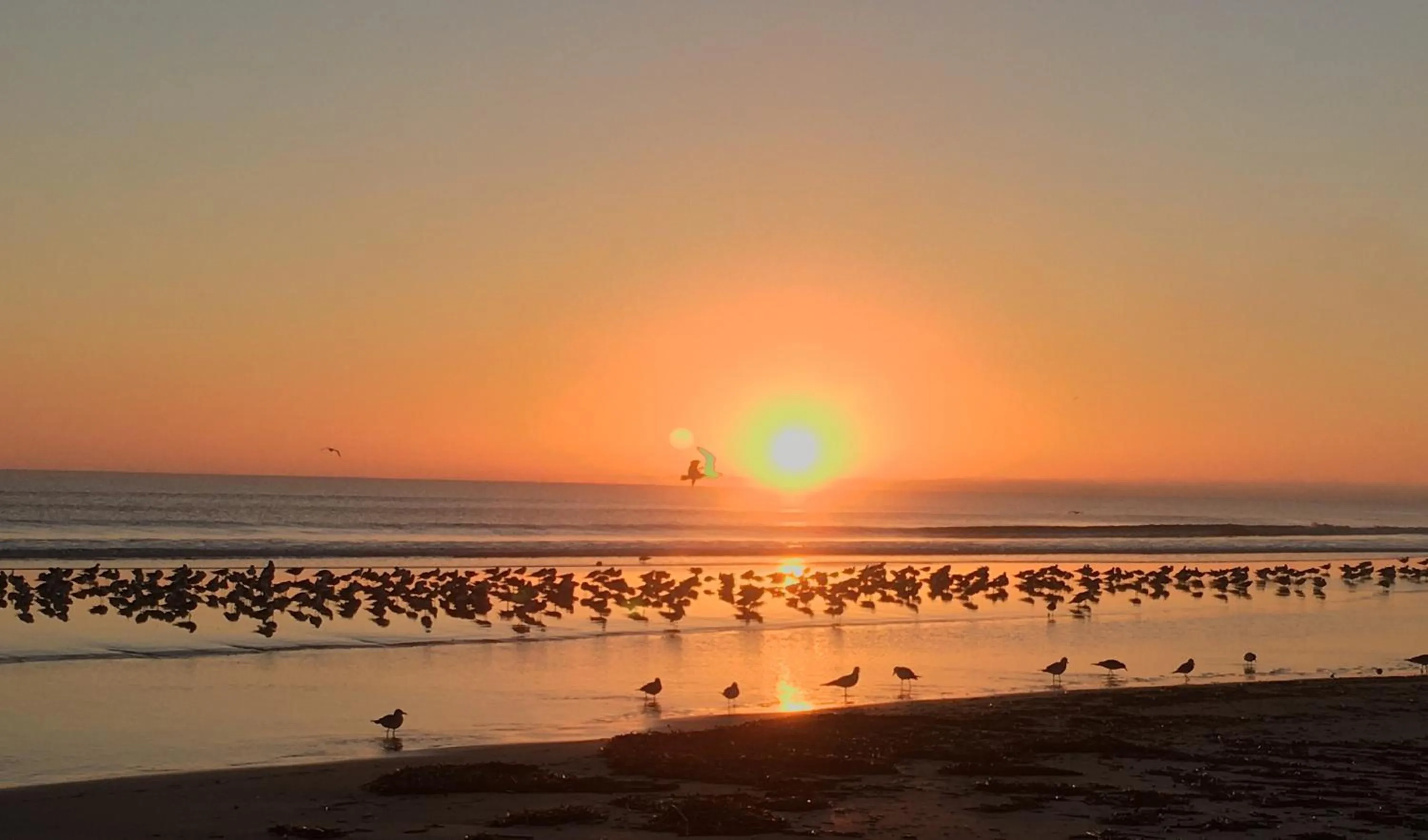 Beach in Organic Beach Retreat