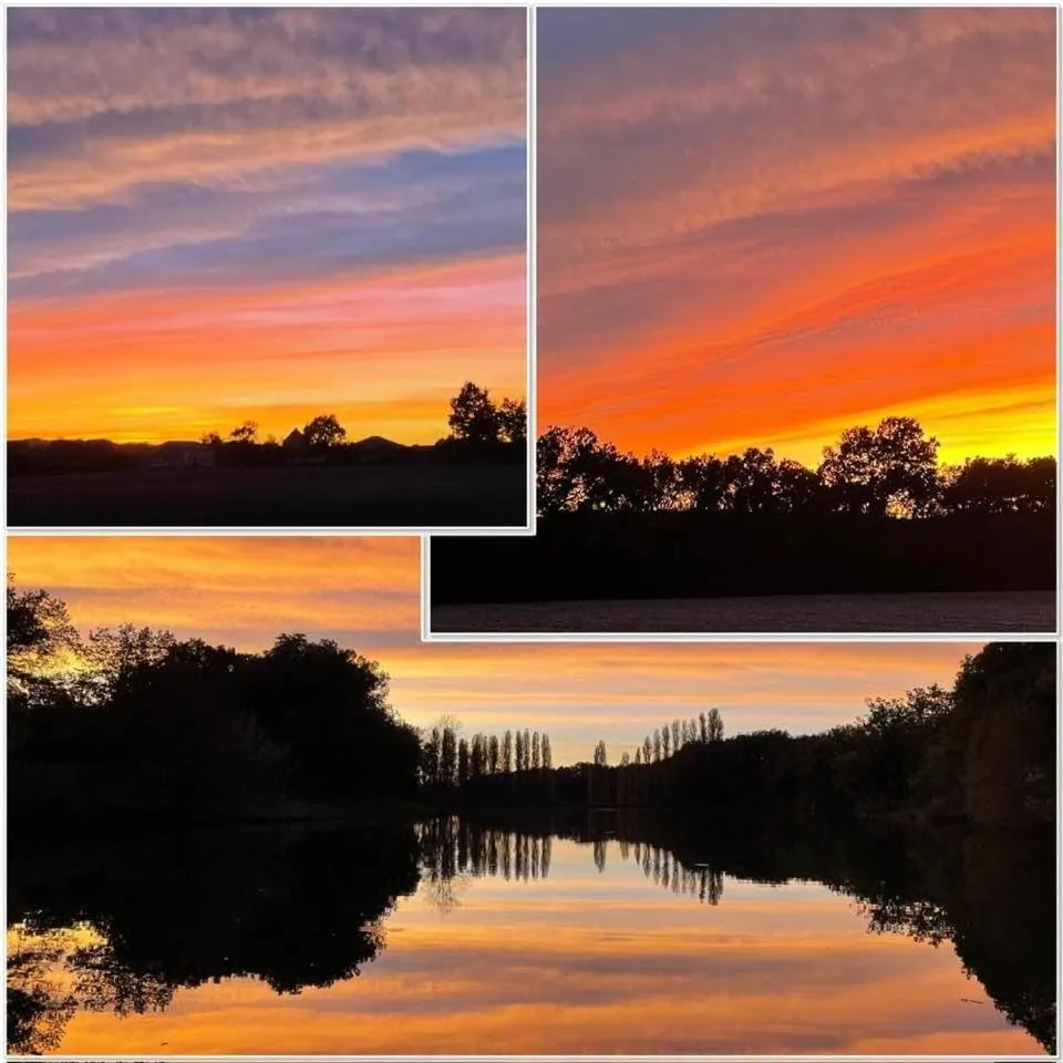 Lake view in Hotel Restaurant La Dame du Lac