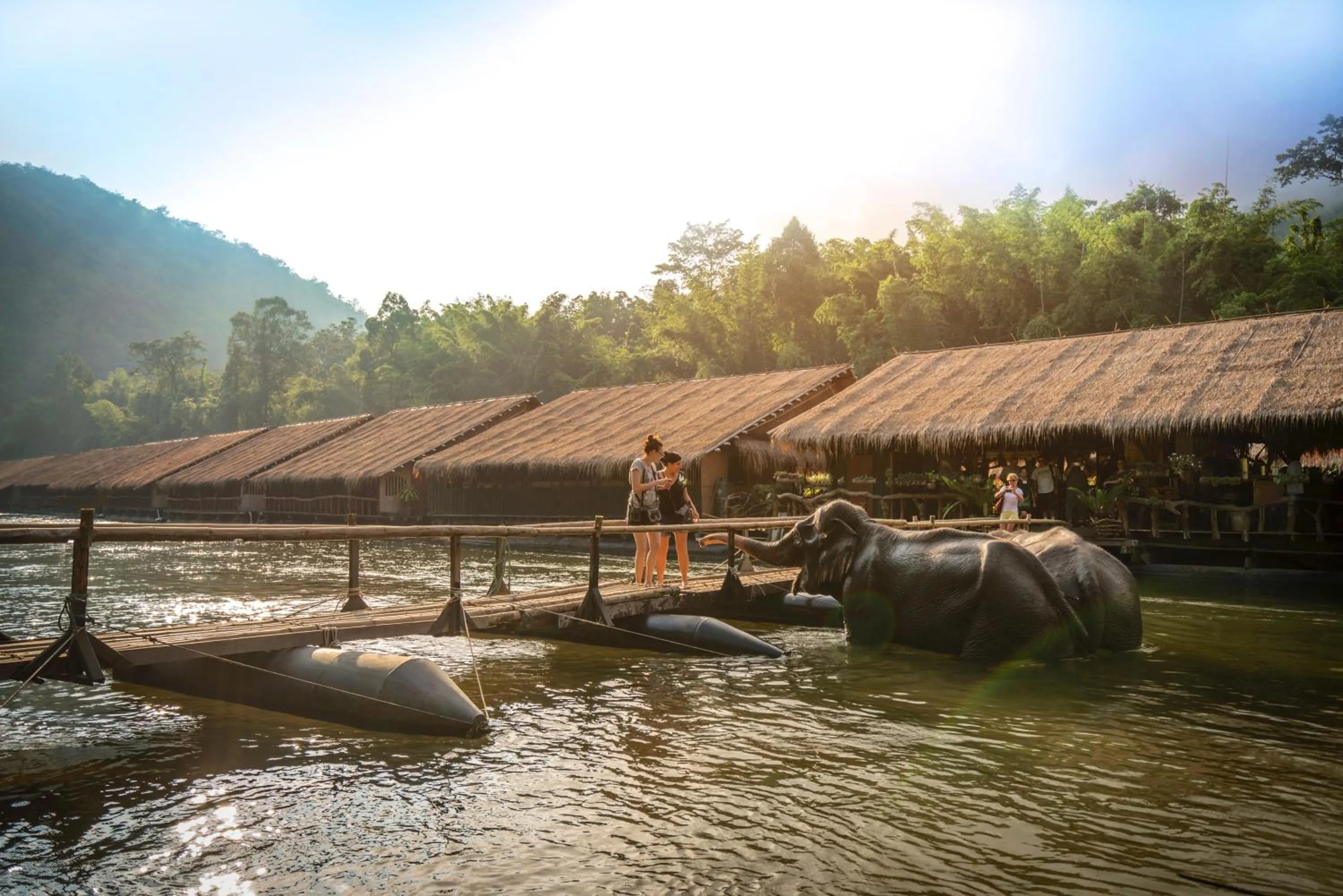 Animals in River Kwai Jungle Rafts