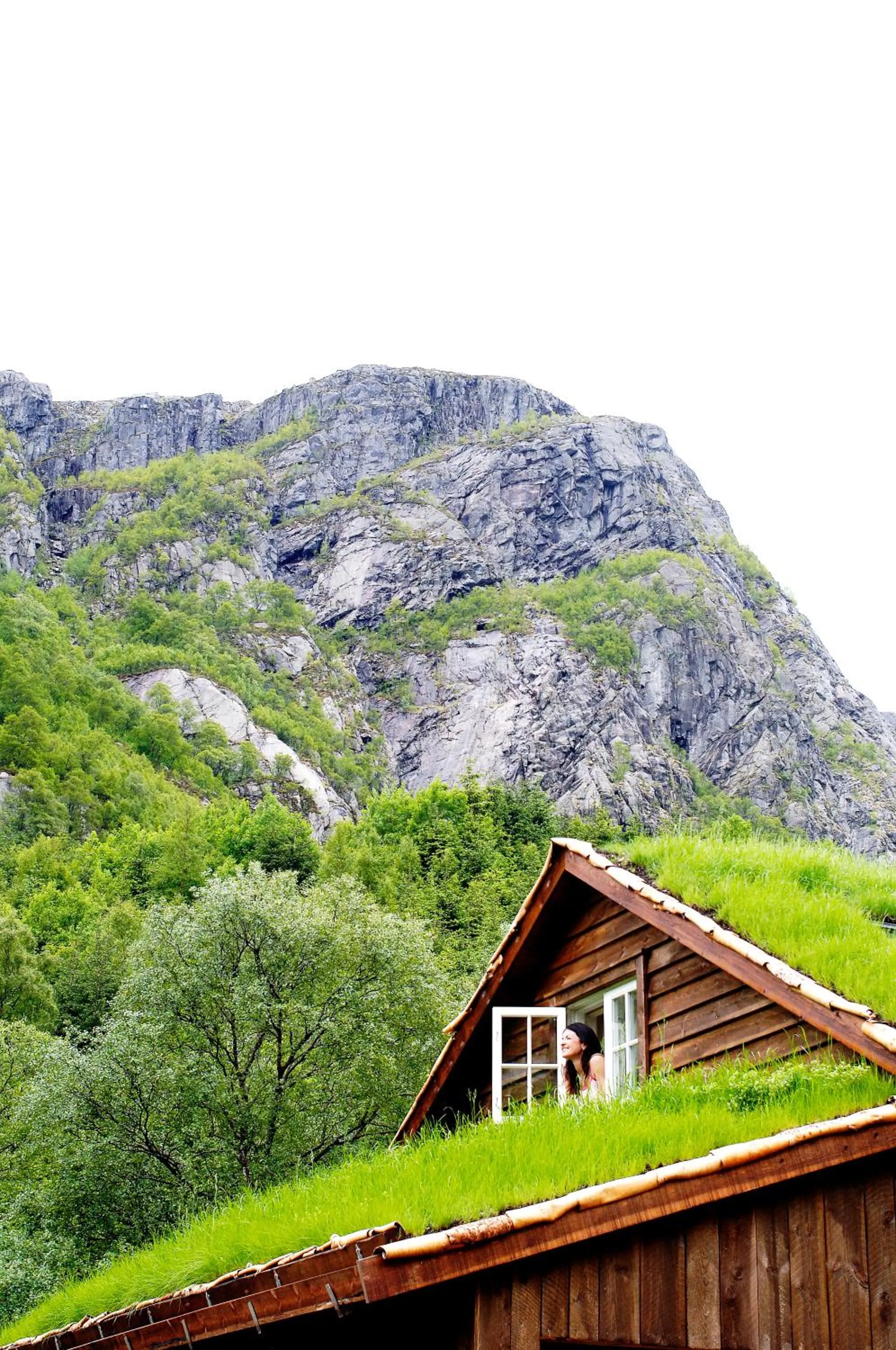 Mountain view in Byrkjedalstunet Hotell
