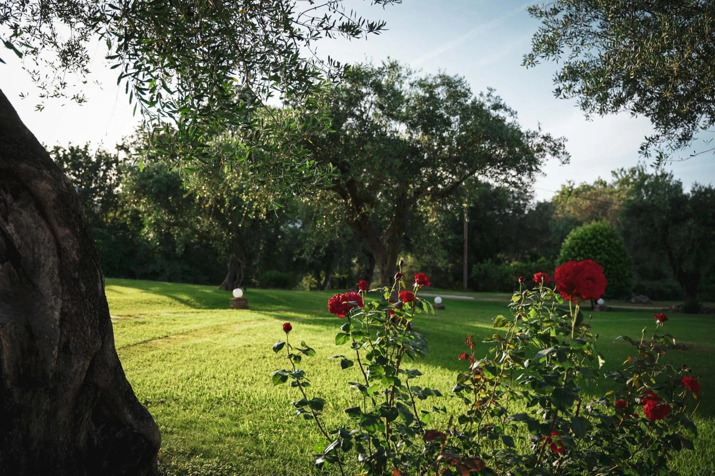 Spring in Panorama Hideaway