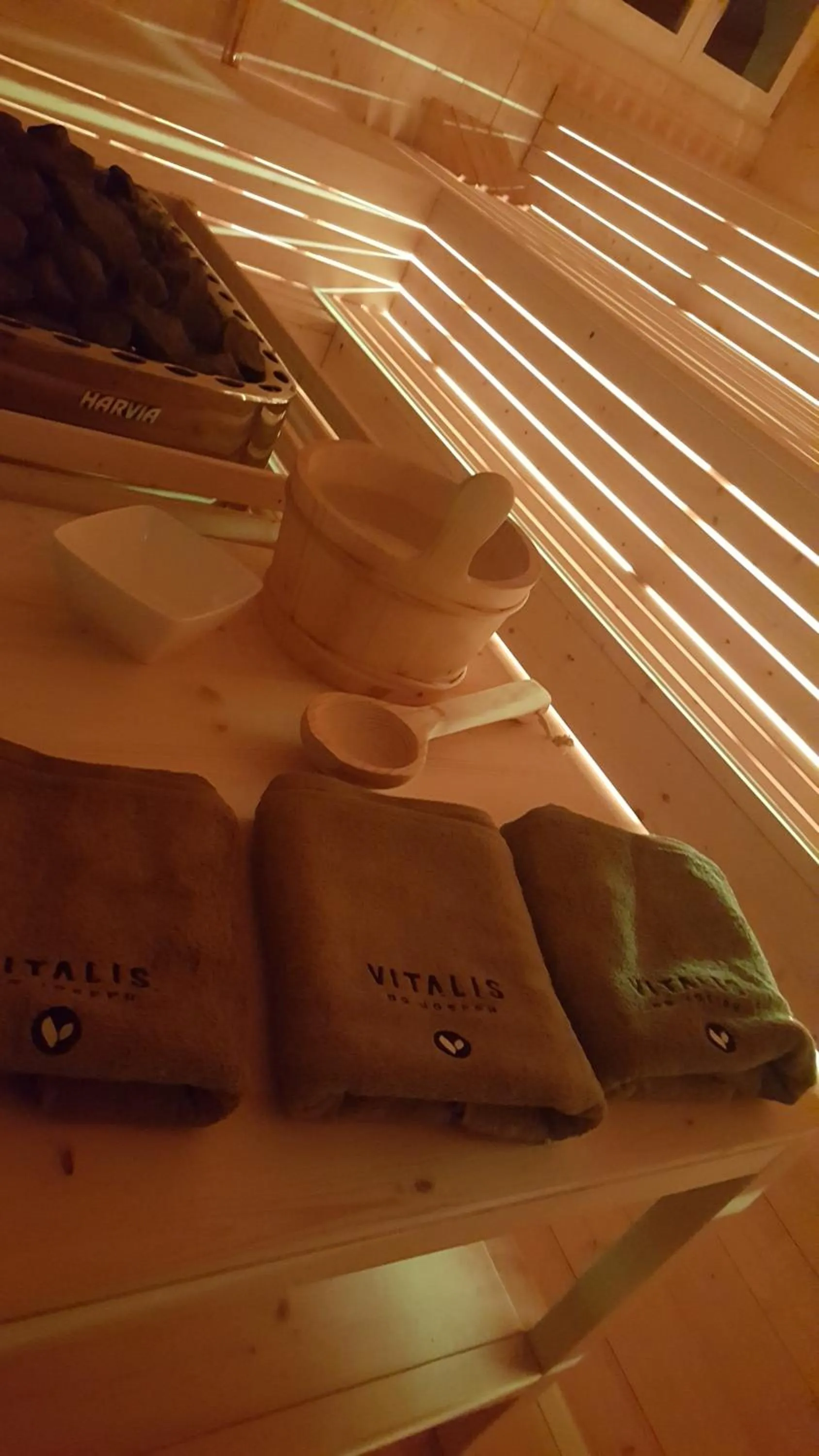Sauna in Hotel Vienna