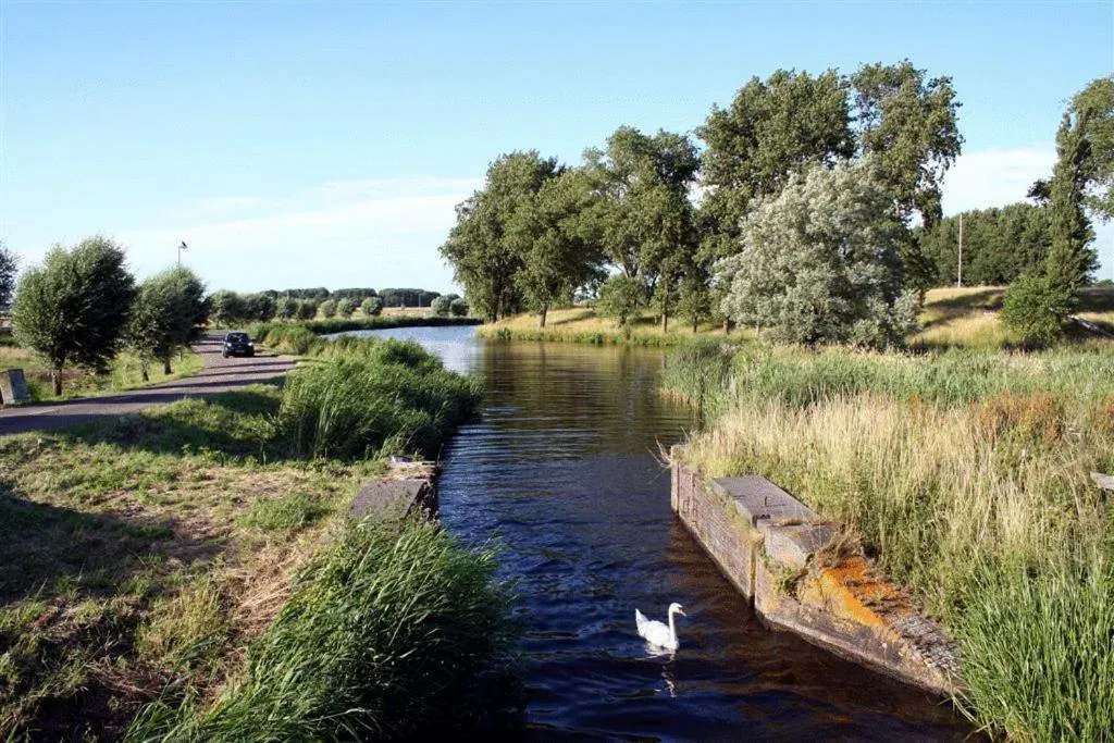 Area and facilities in Hotel Velsen