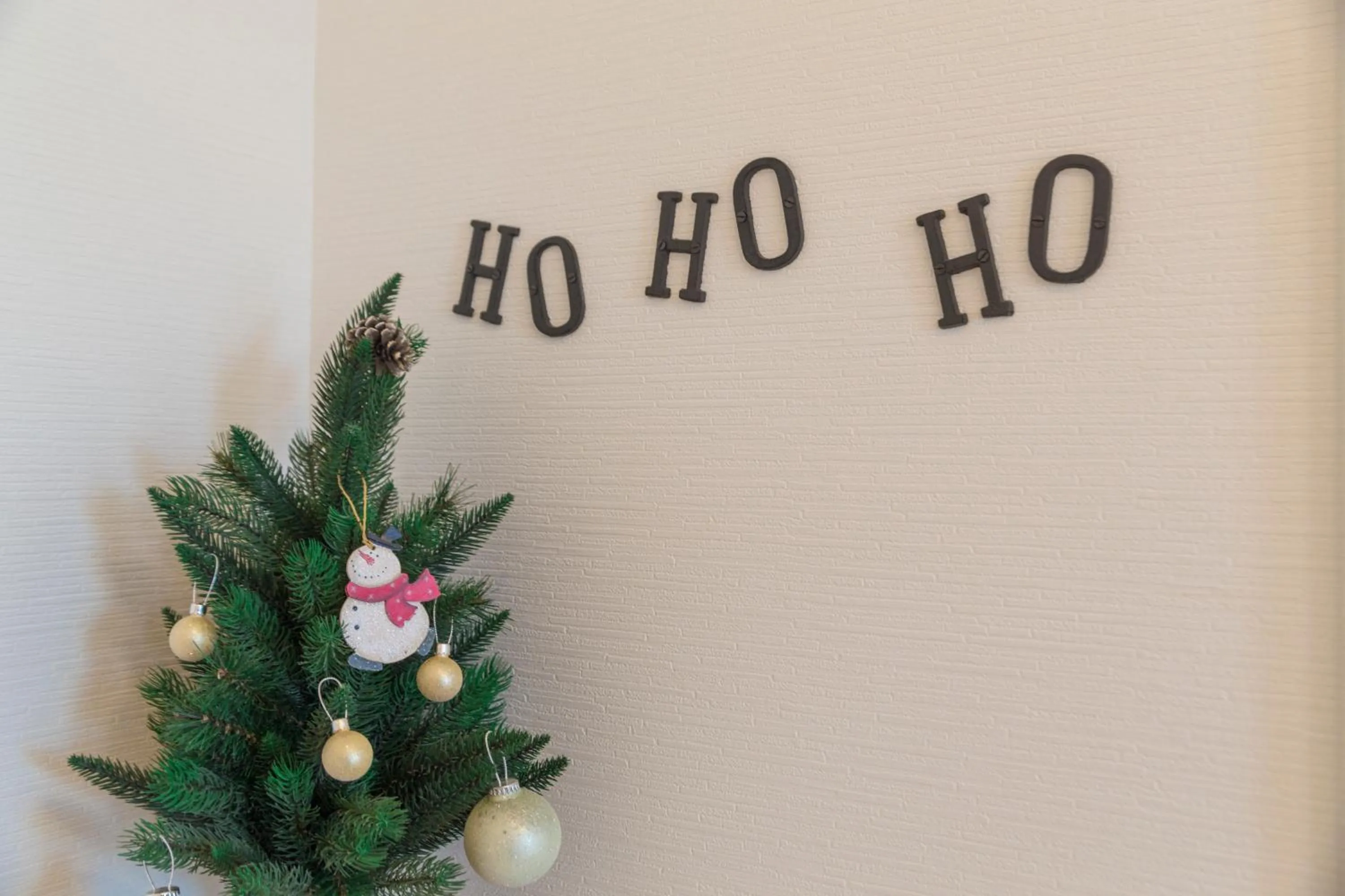 Decorative detail in Snow ball Condominium